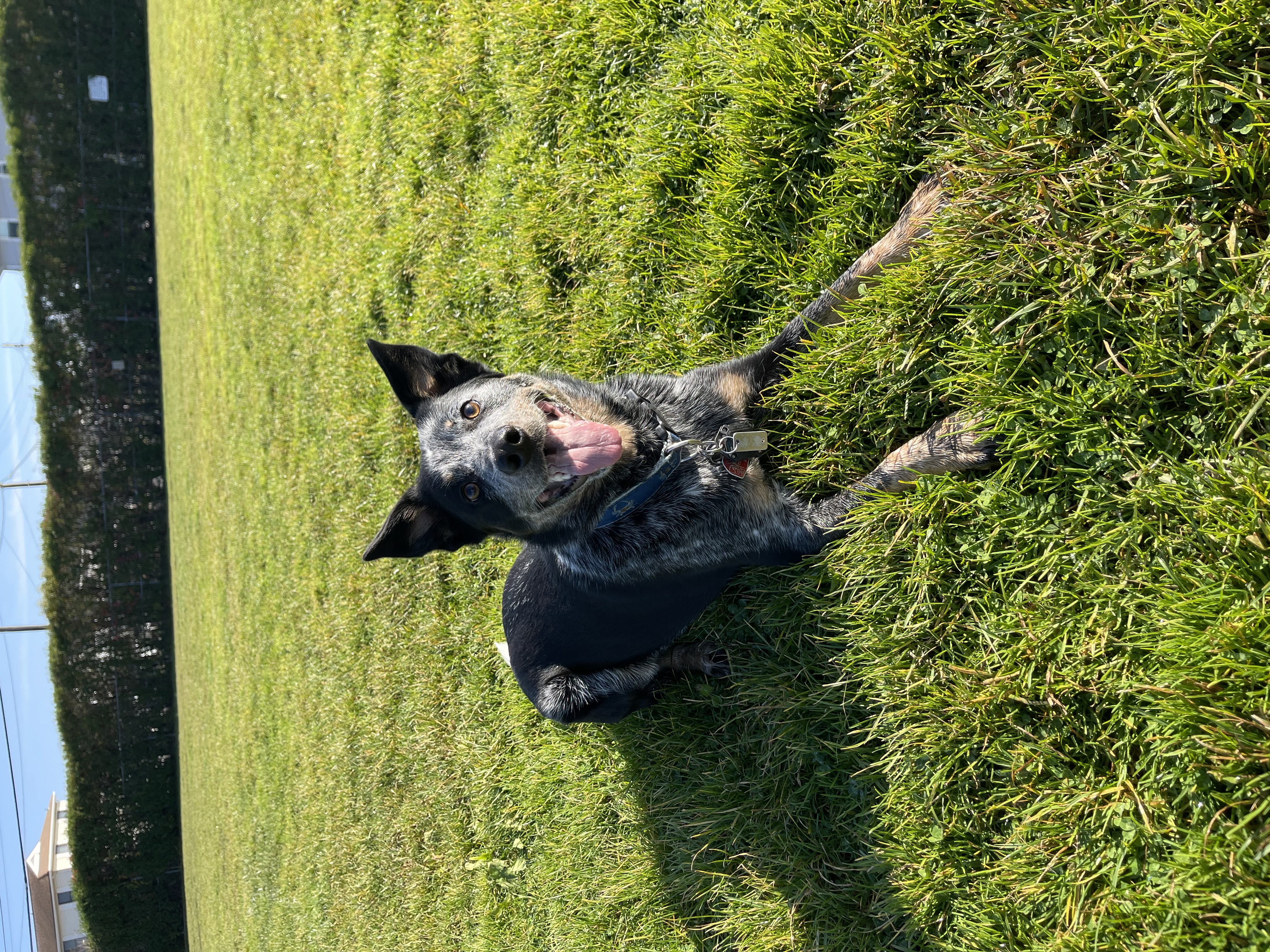 Photo Review Submission from Gianna Morey