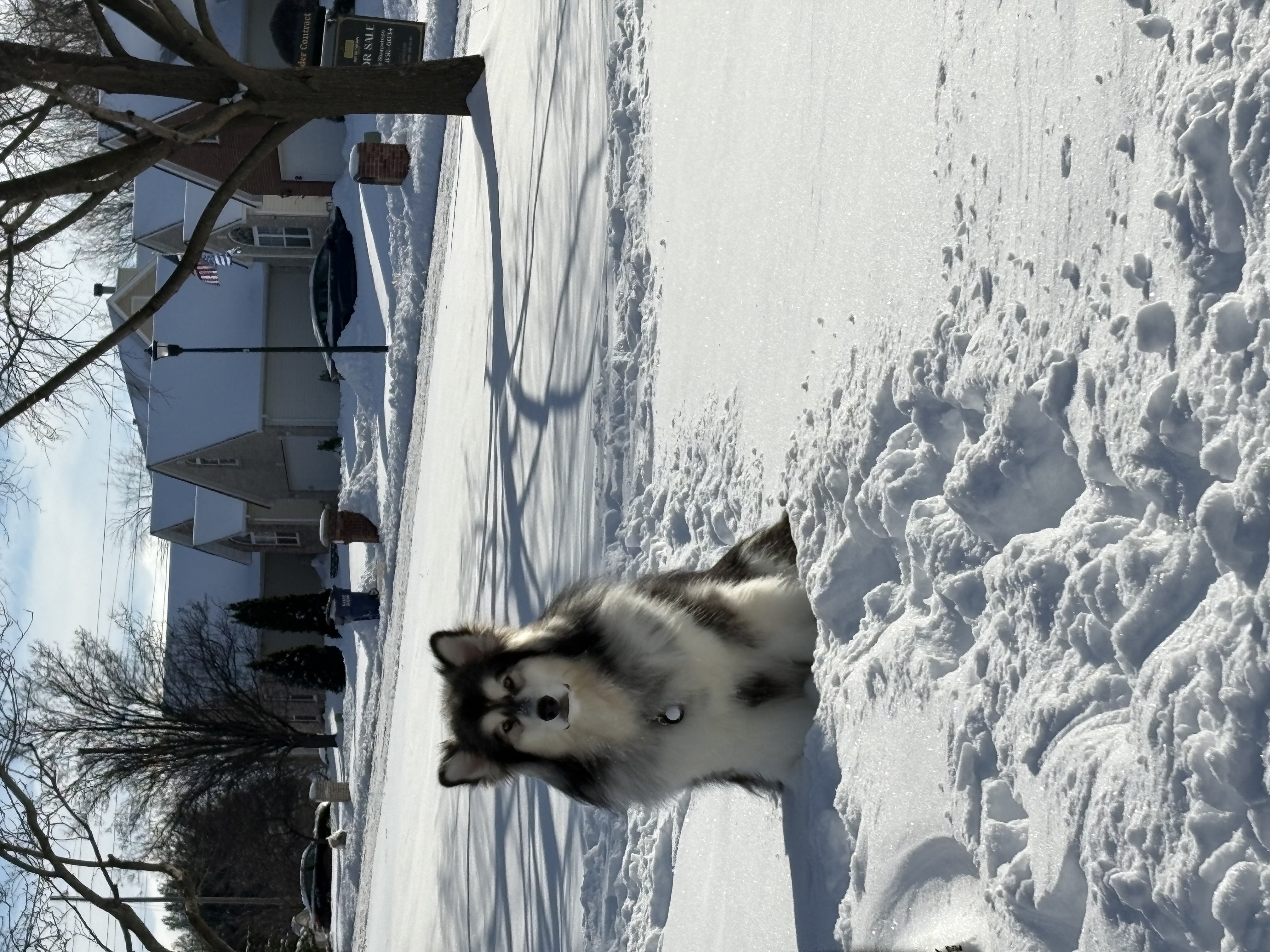 Photo Review Submission from Angelina Slivinski