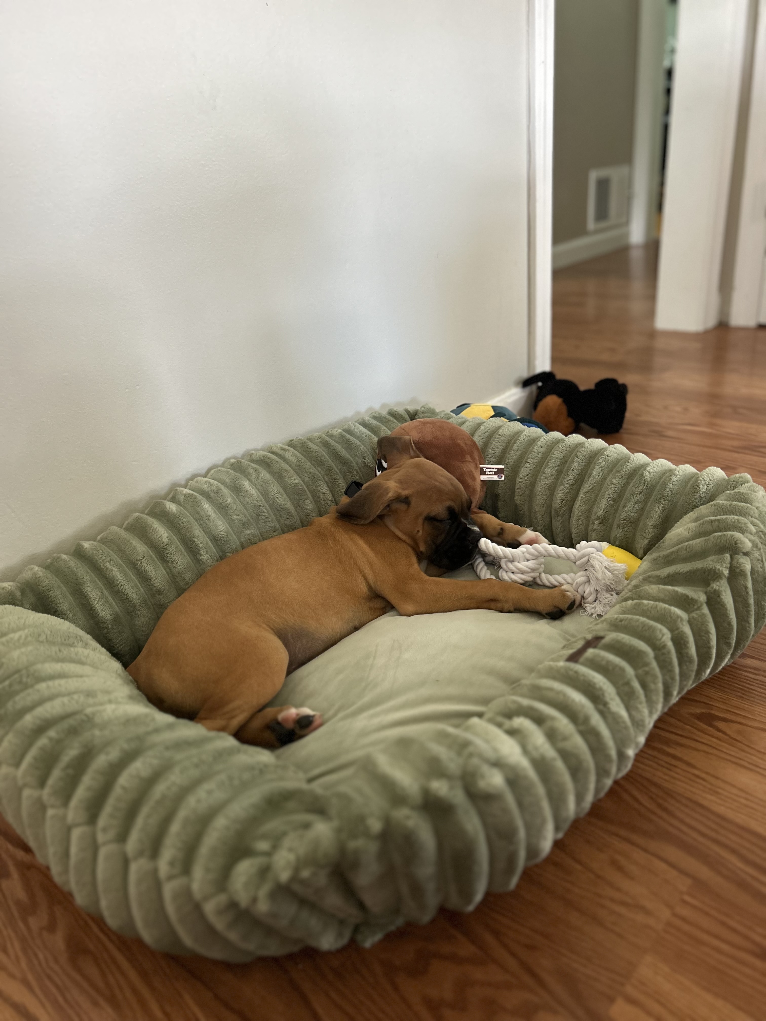 Photo Review Submission from Damien Maniscalco