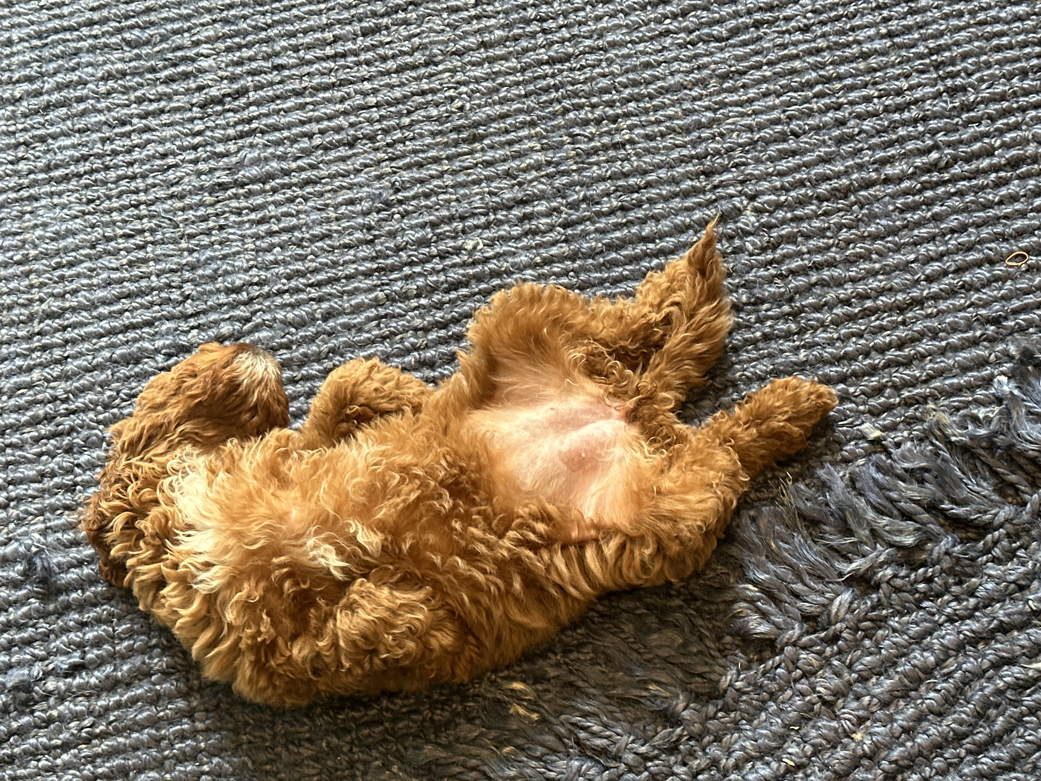 Photo Review Submission from Evelyn Melleby