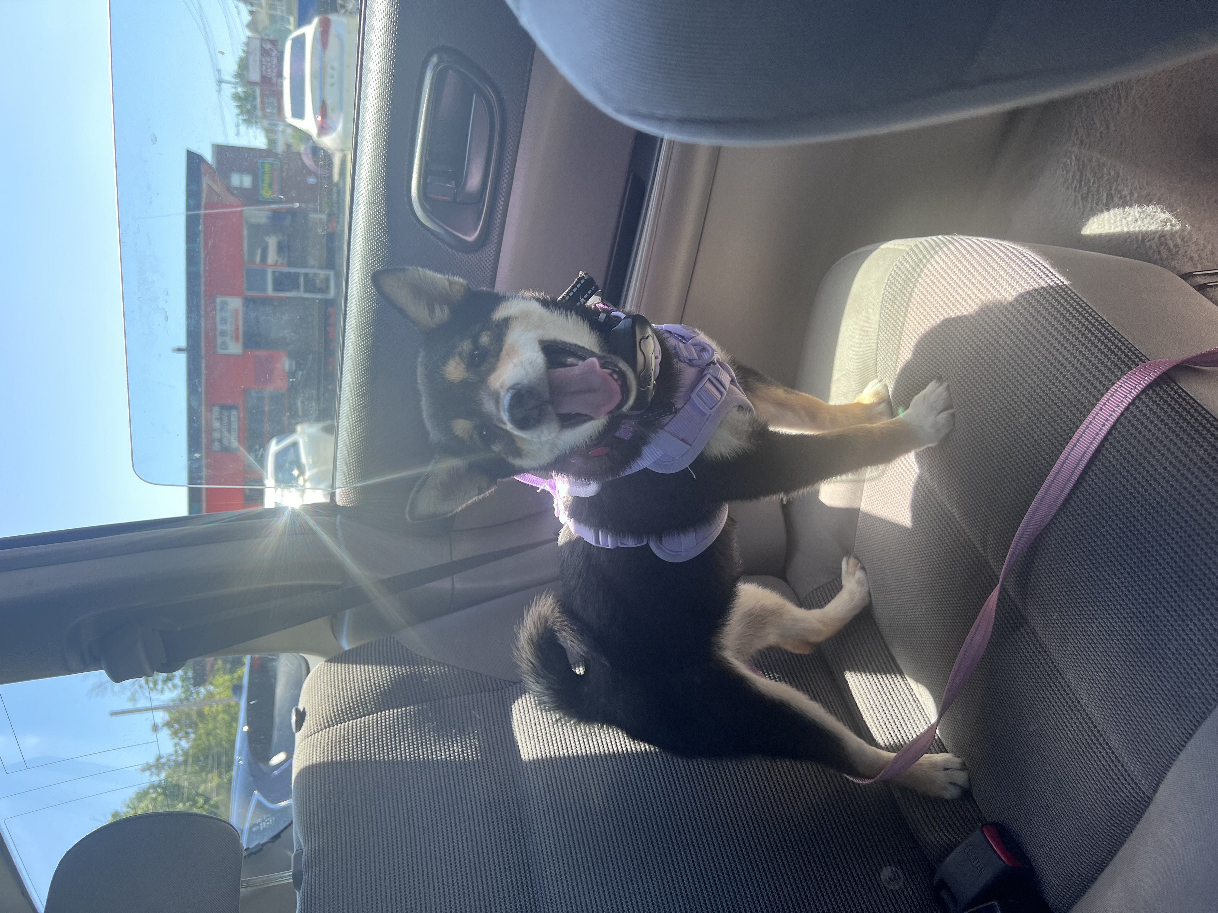 Photo Review Submission from Kathleen Clarkin