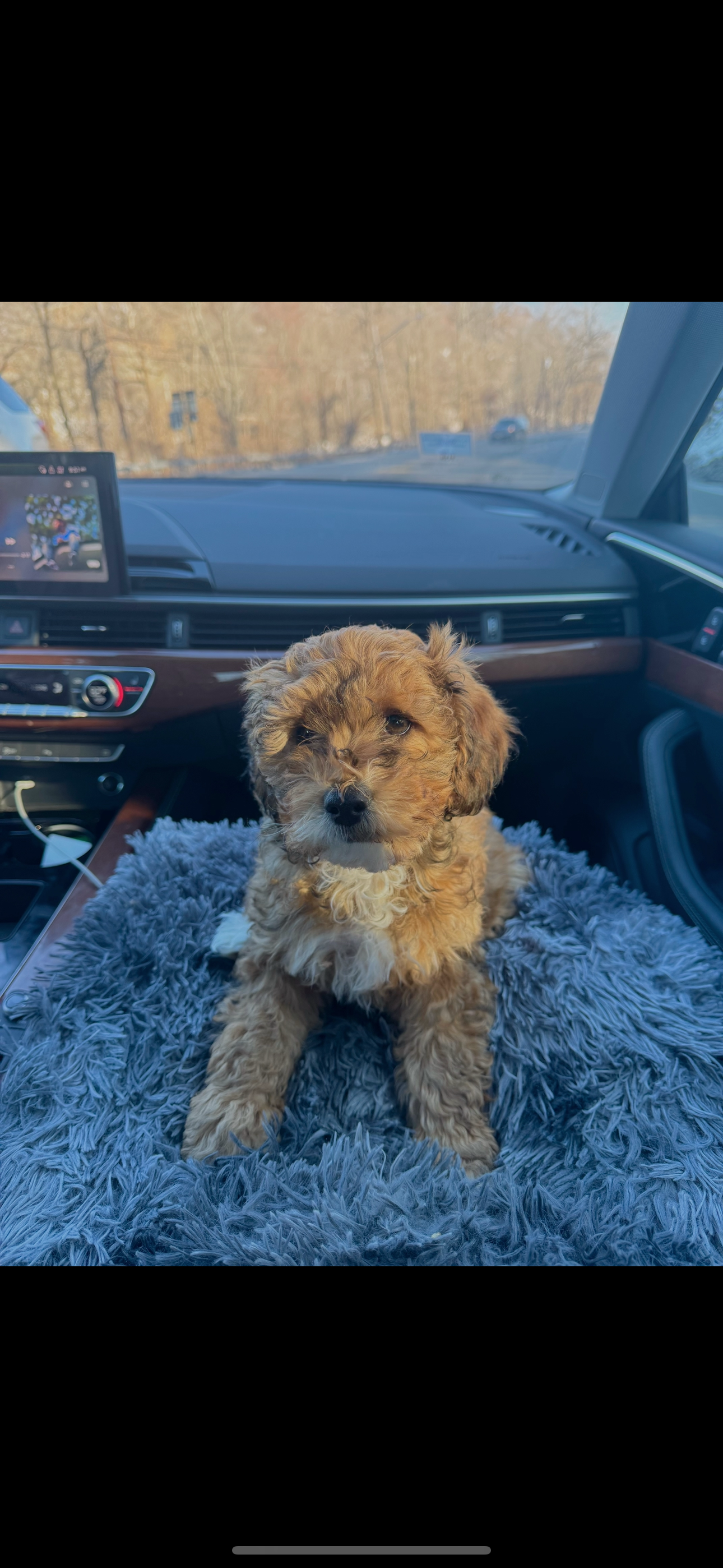 Photo Review Submission from Mikayla Proper