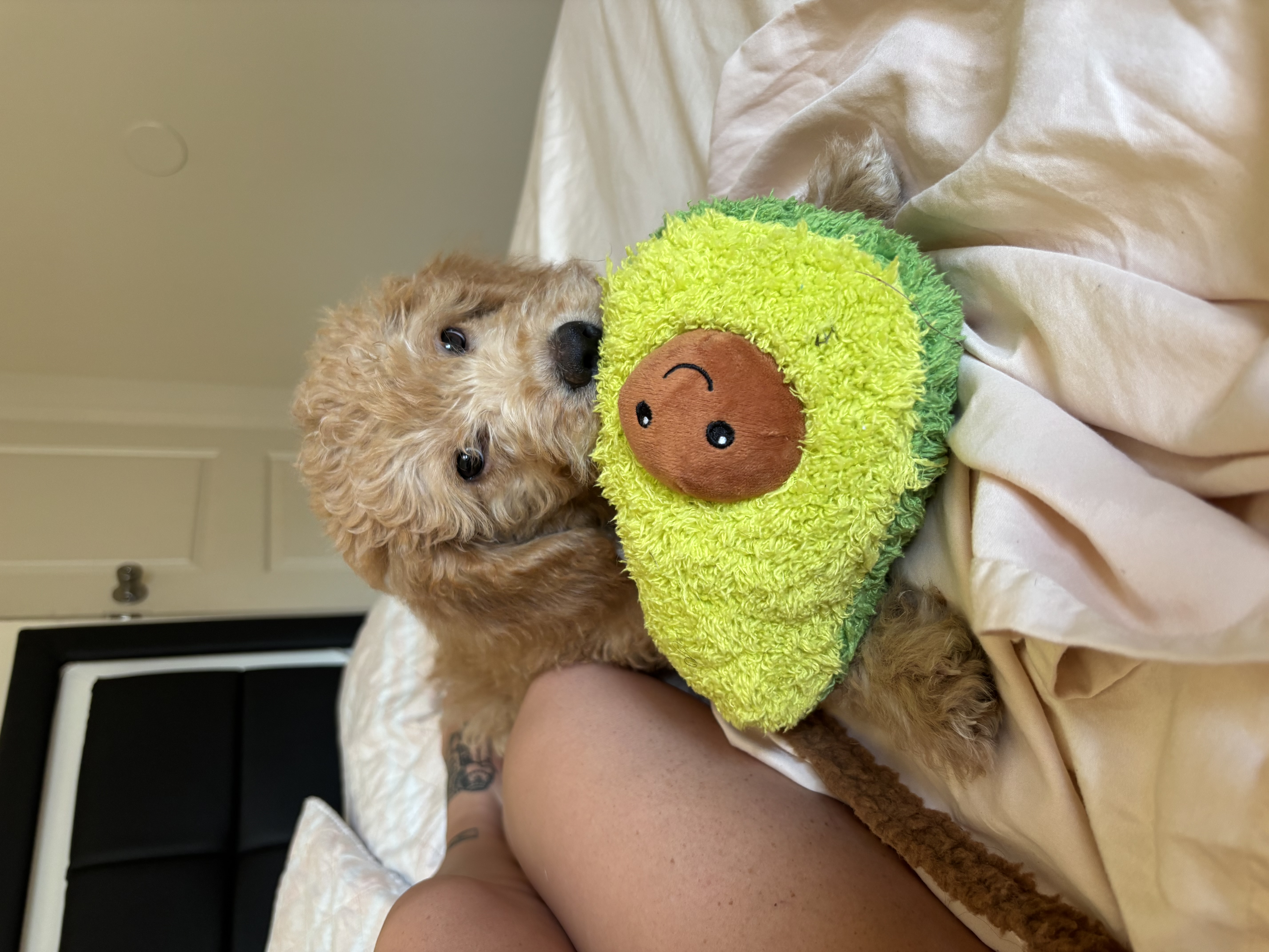Photo Review Submission from Kylee Borrero