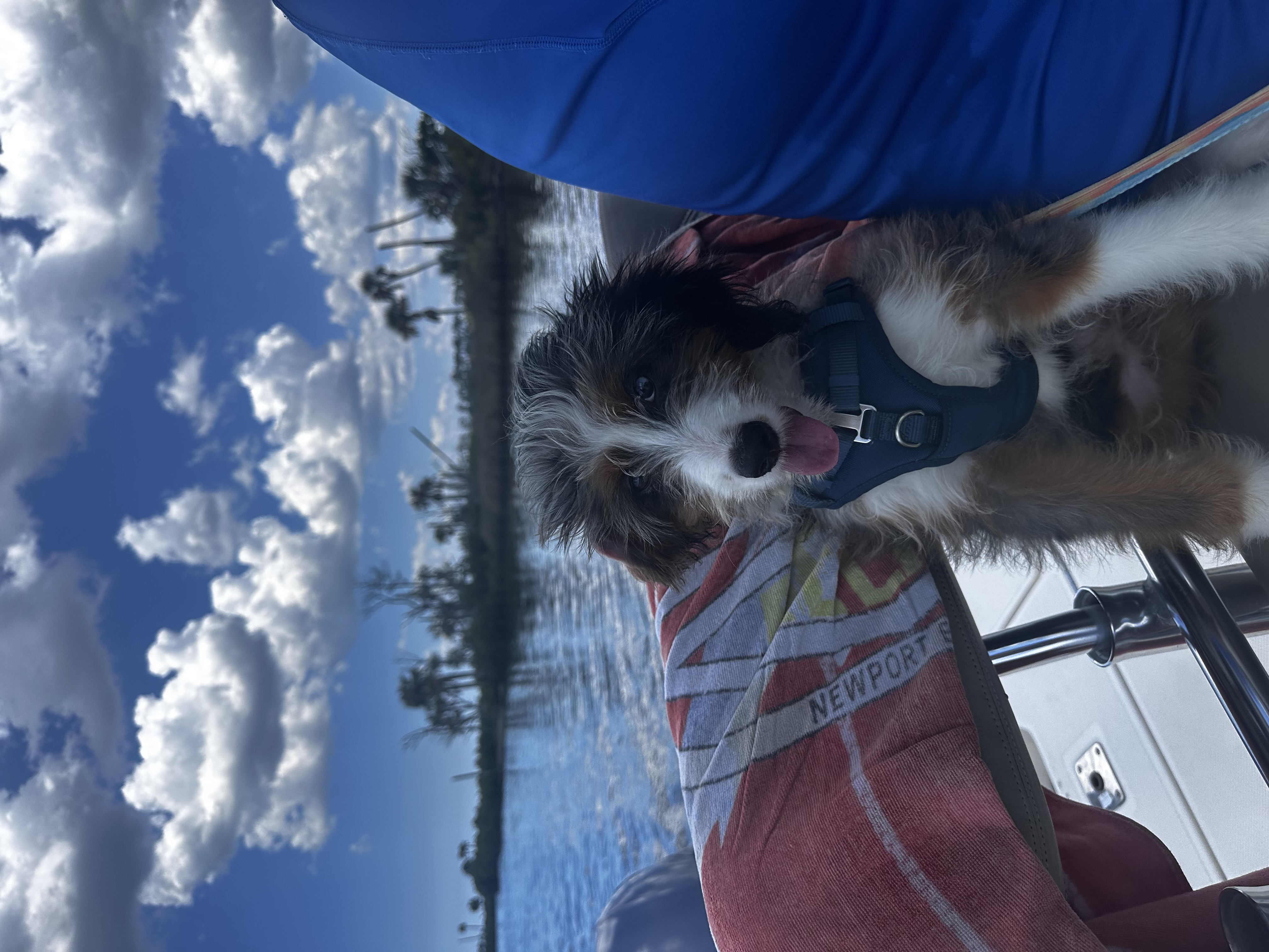 Photo Review Submission from lina dangelo