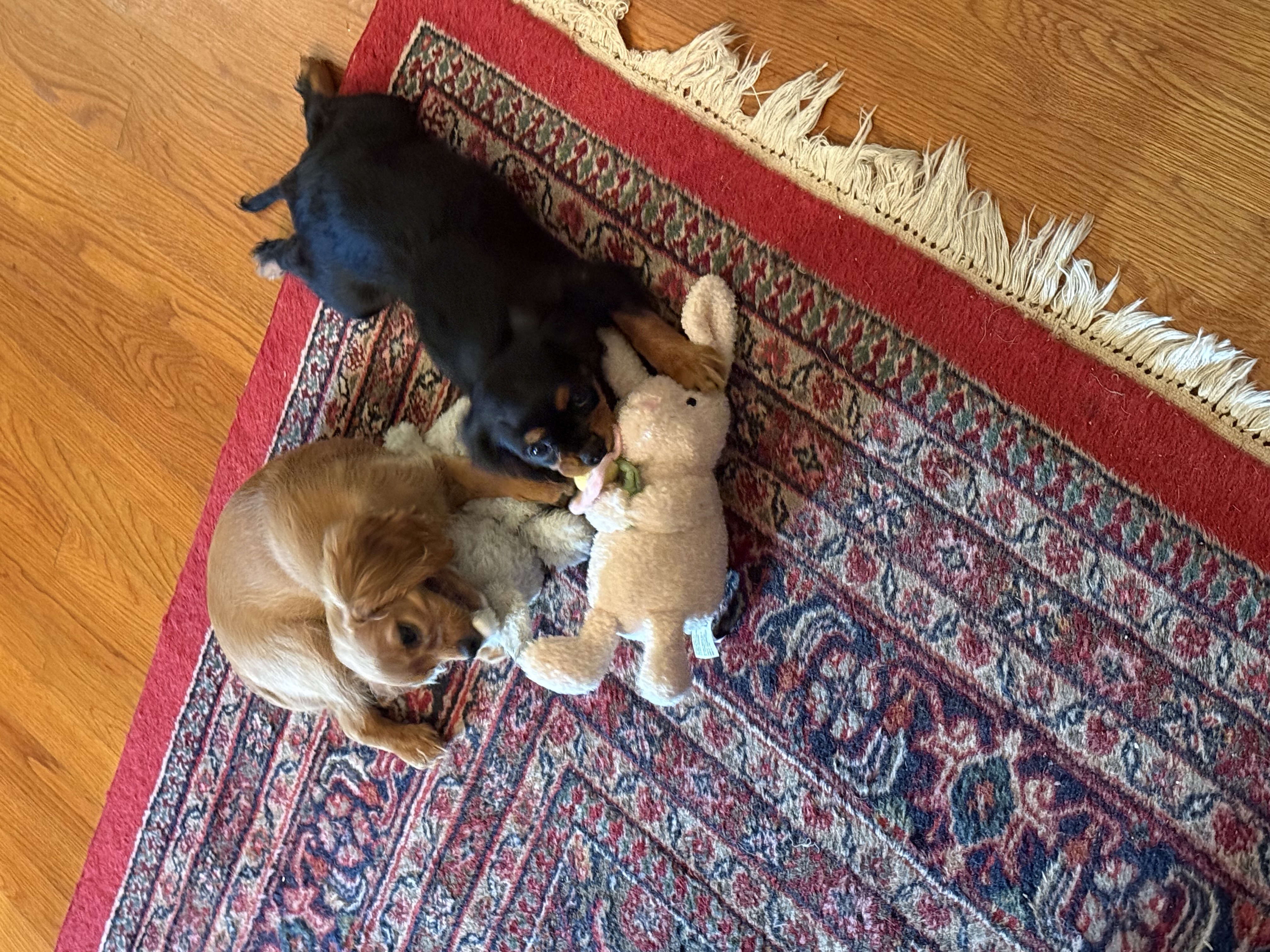 Photo Review Submission from Jerry Freeman