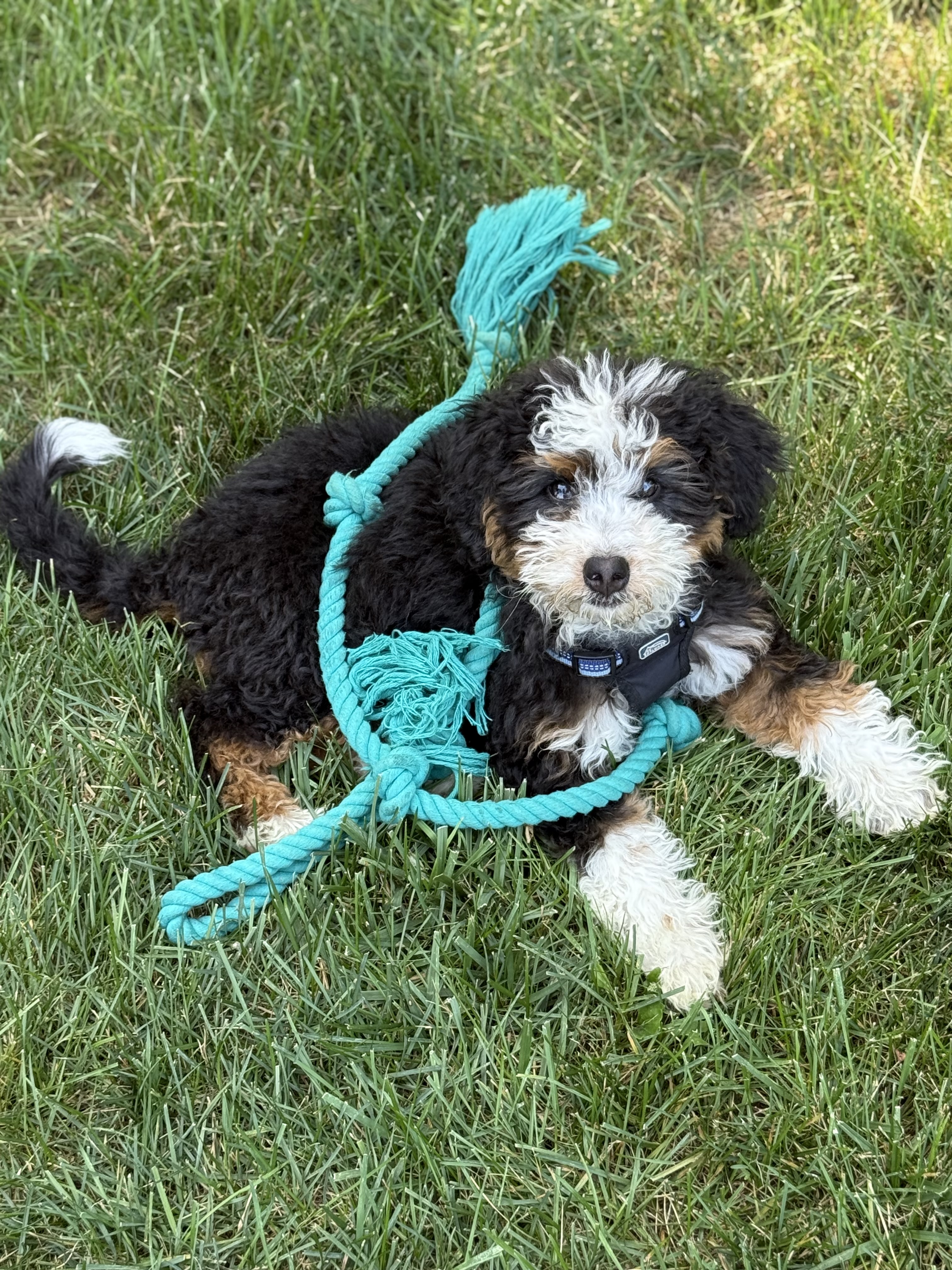 Photo Review Submission from Shecca Rockwell