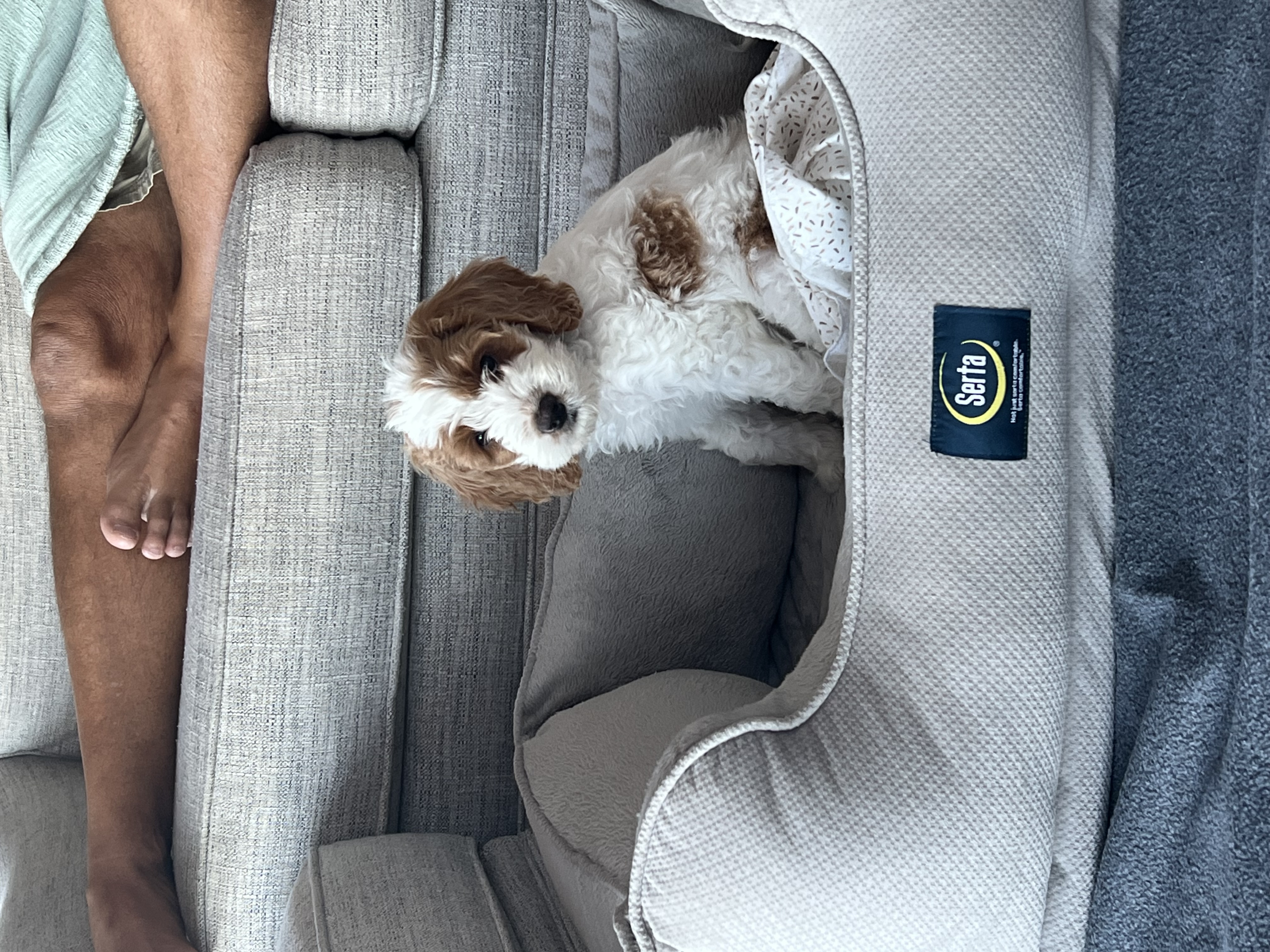 Photo Review Submission from Colleen Rizzo