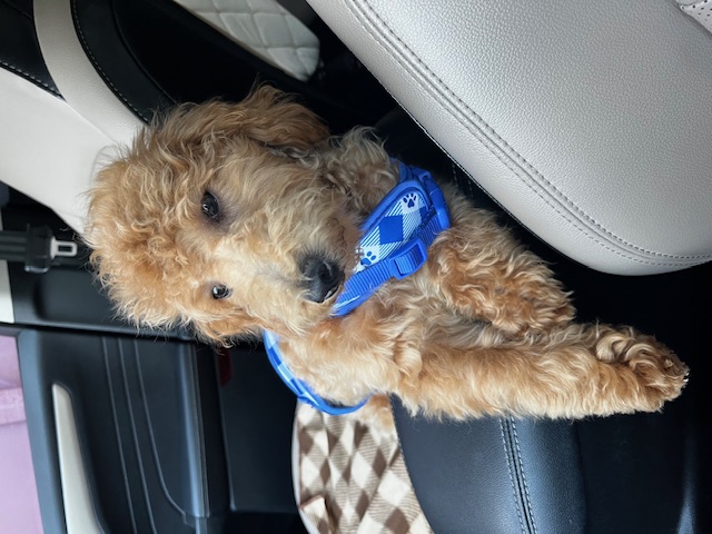 Photo Review Submission from Cora Kelley