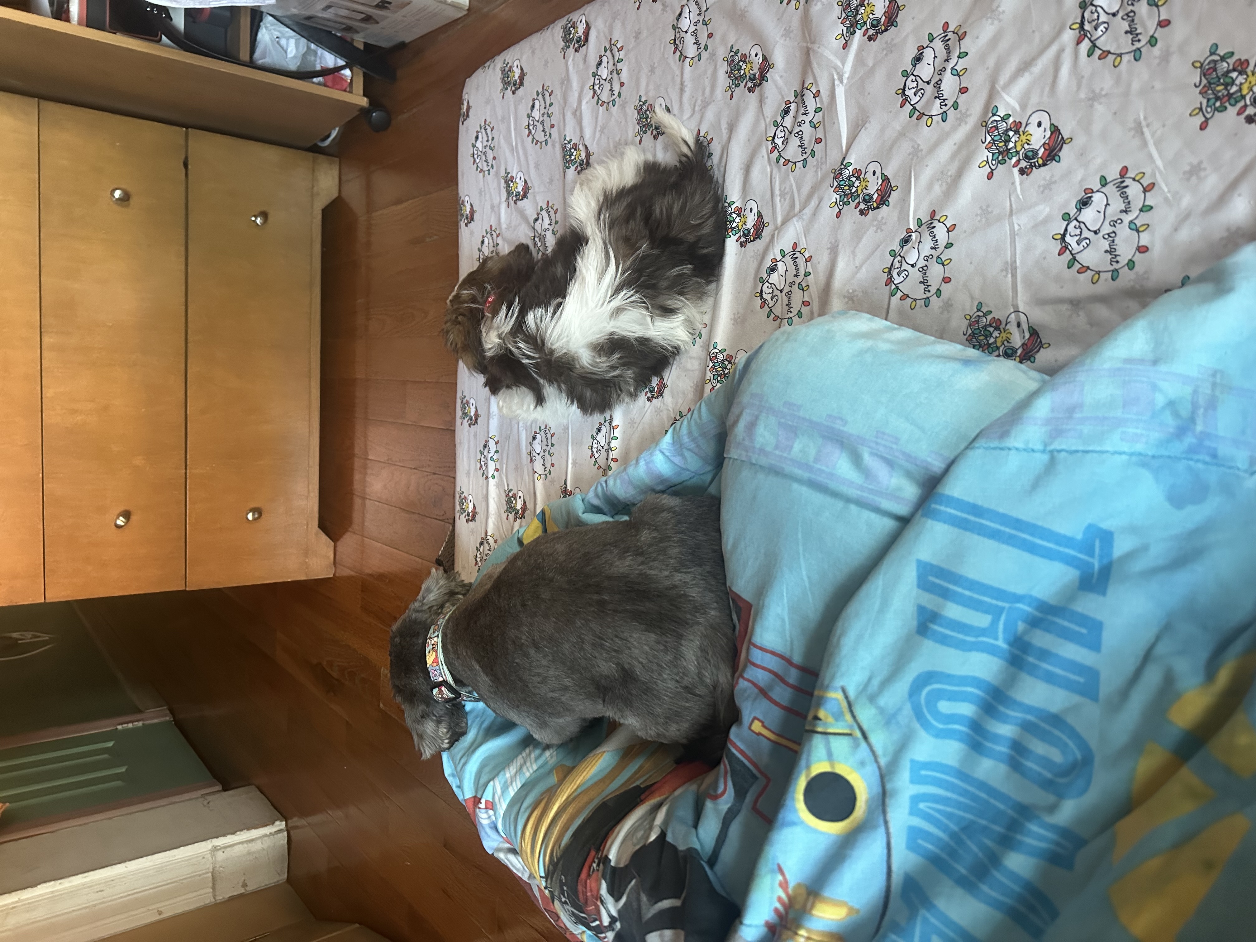 Photo Review Submission from Lucy Cadmen