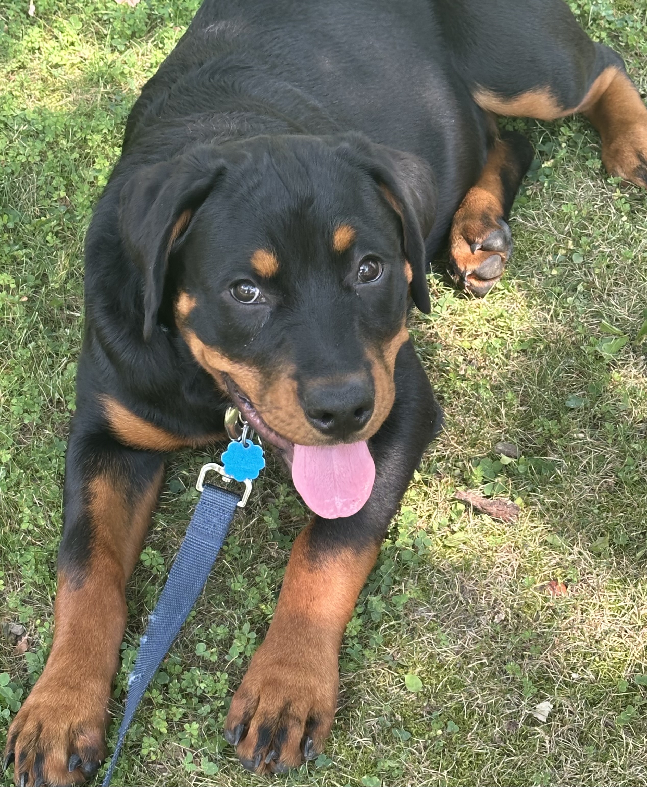 Photo Review Submission from Bill Snell