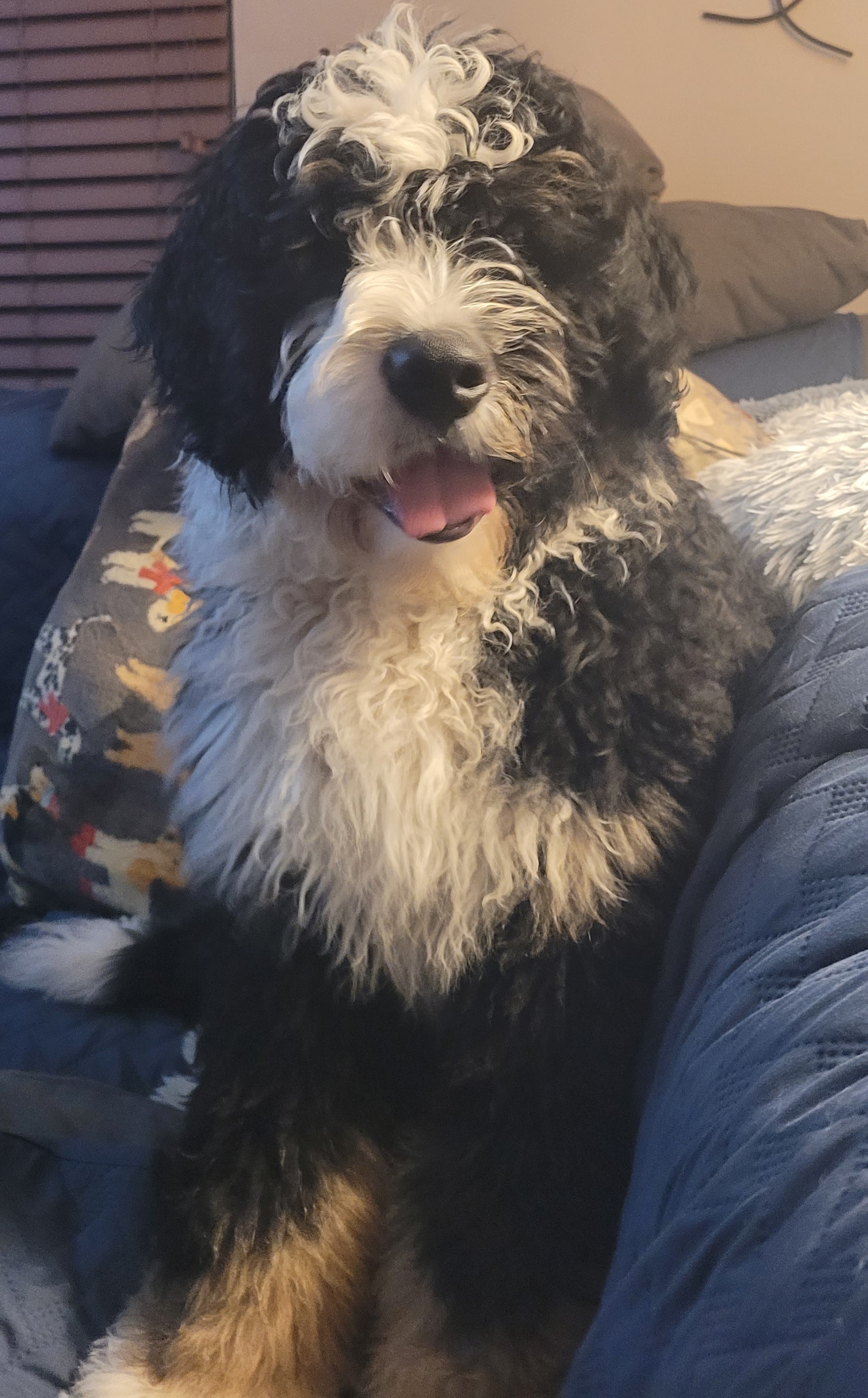 Photo Review Submission from Dee Schalk