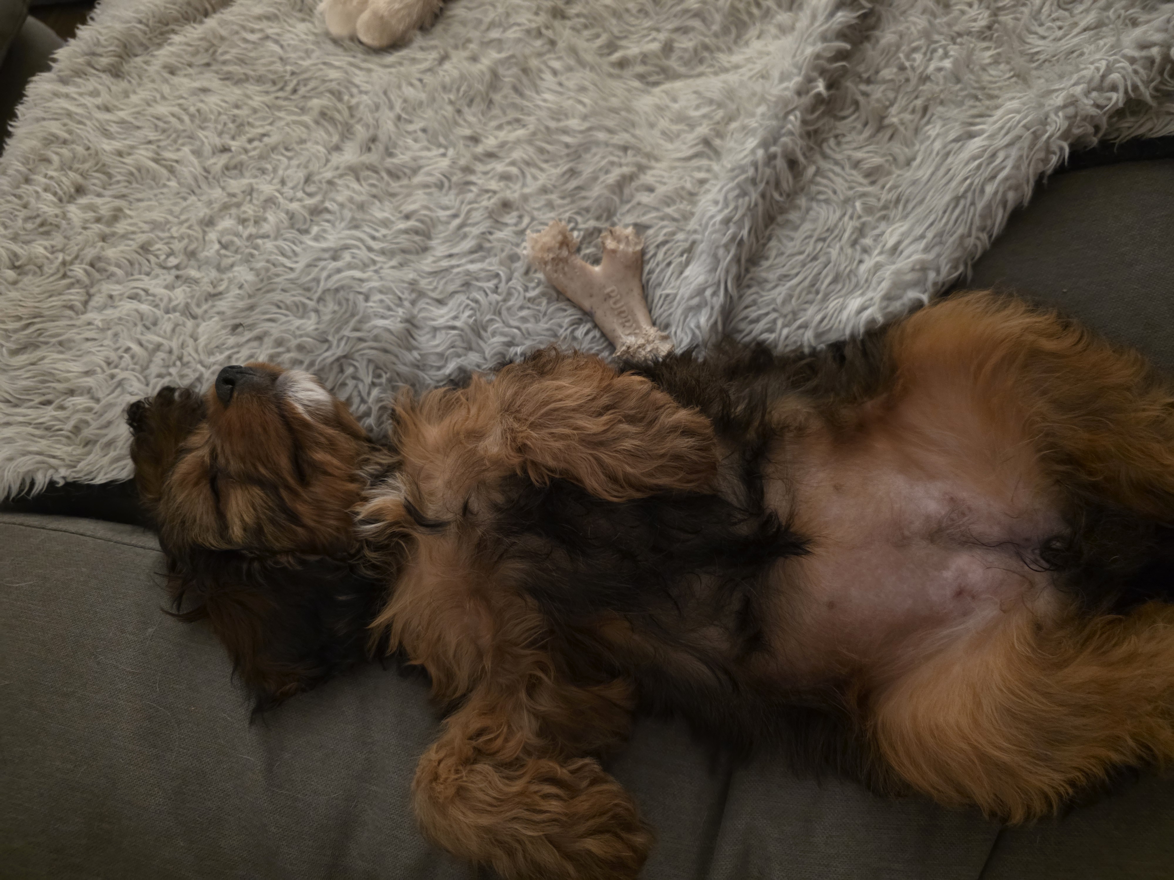 Photo Review Submission from Casey Warner