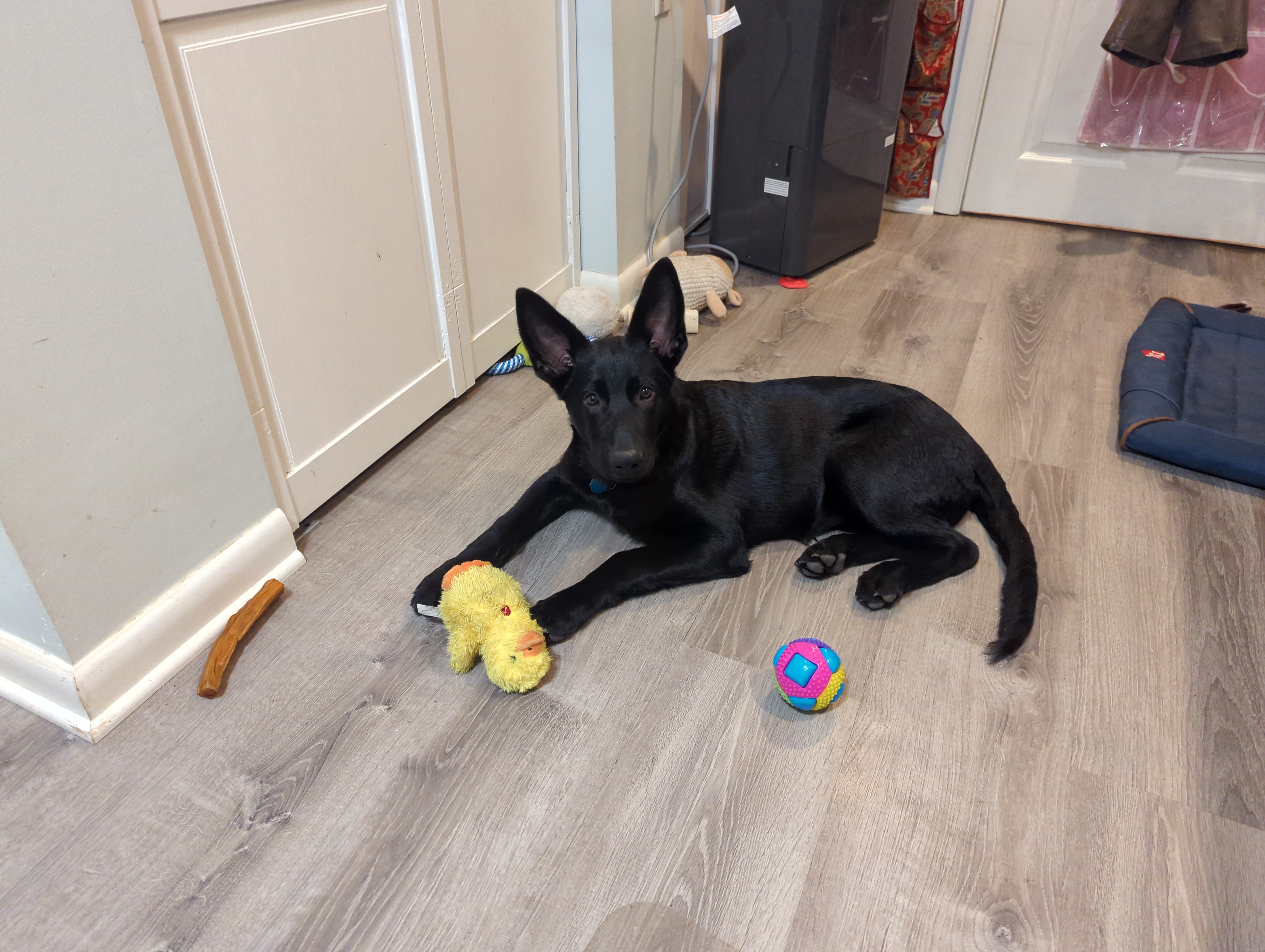 Photo Review Submission from Deanna R.