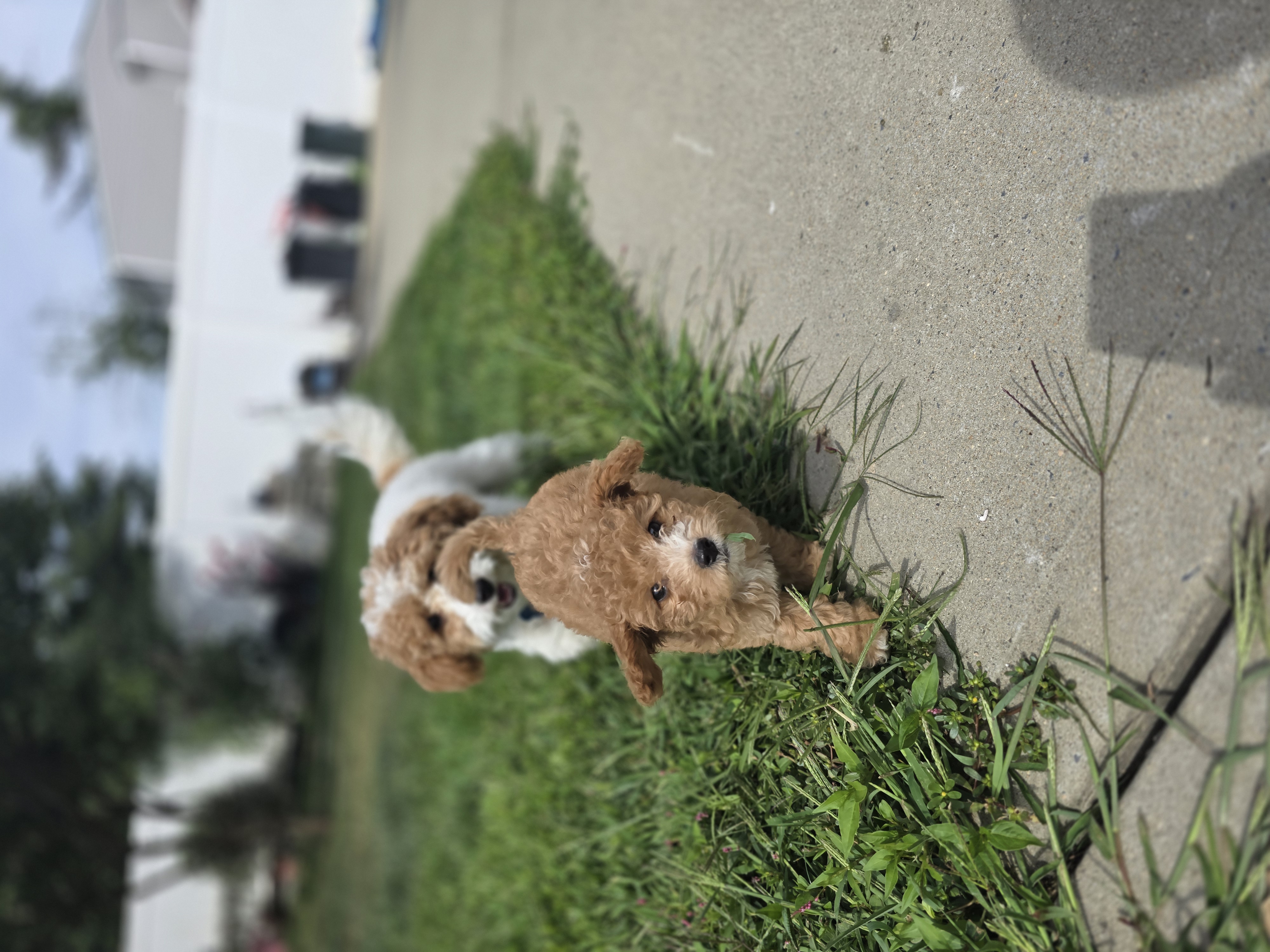 Photo Review Submission from Ashley Barajas