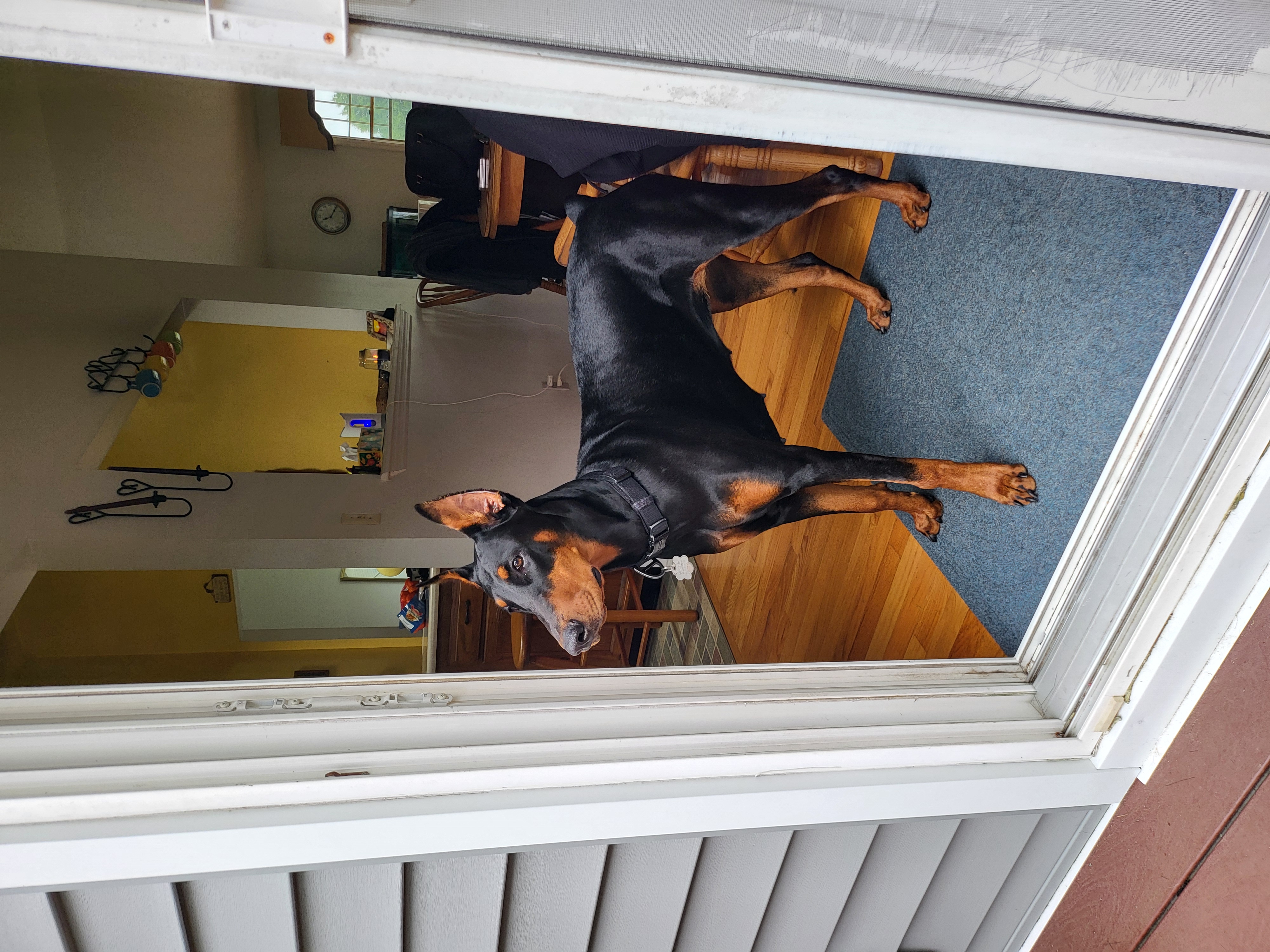 Photo Review Submission from Alan & Nancy Reha