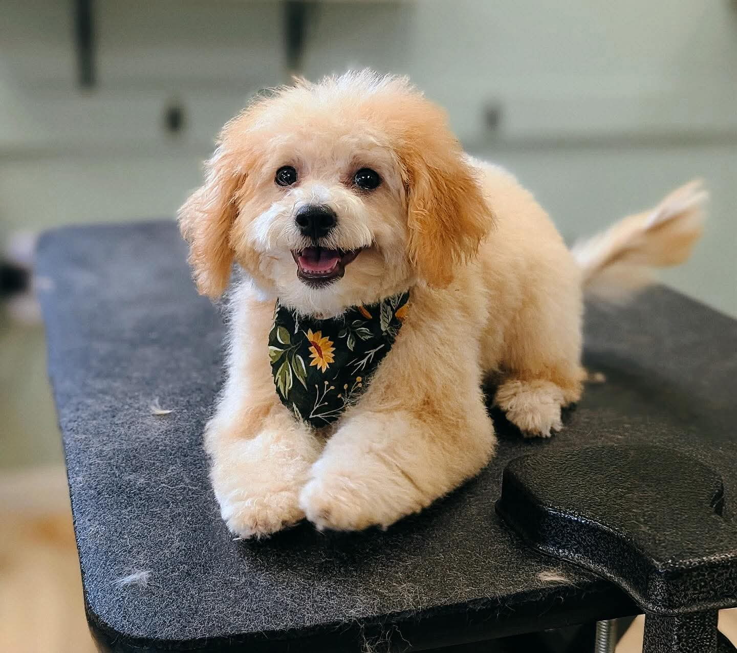 Photo Review Submission from Mary Ann Townley