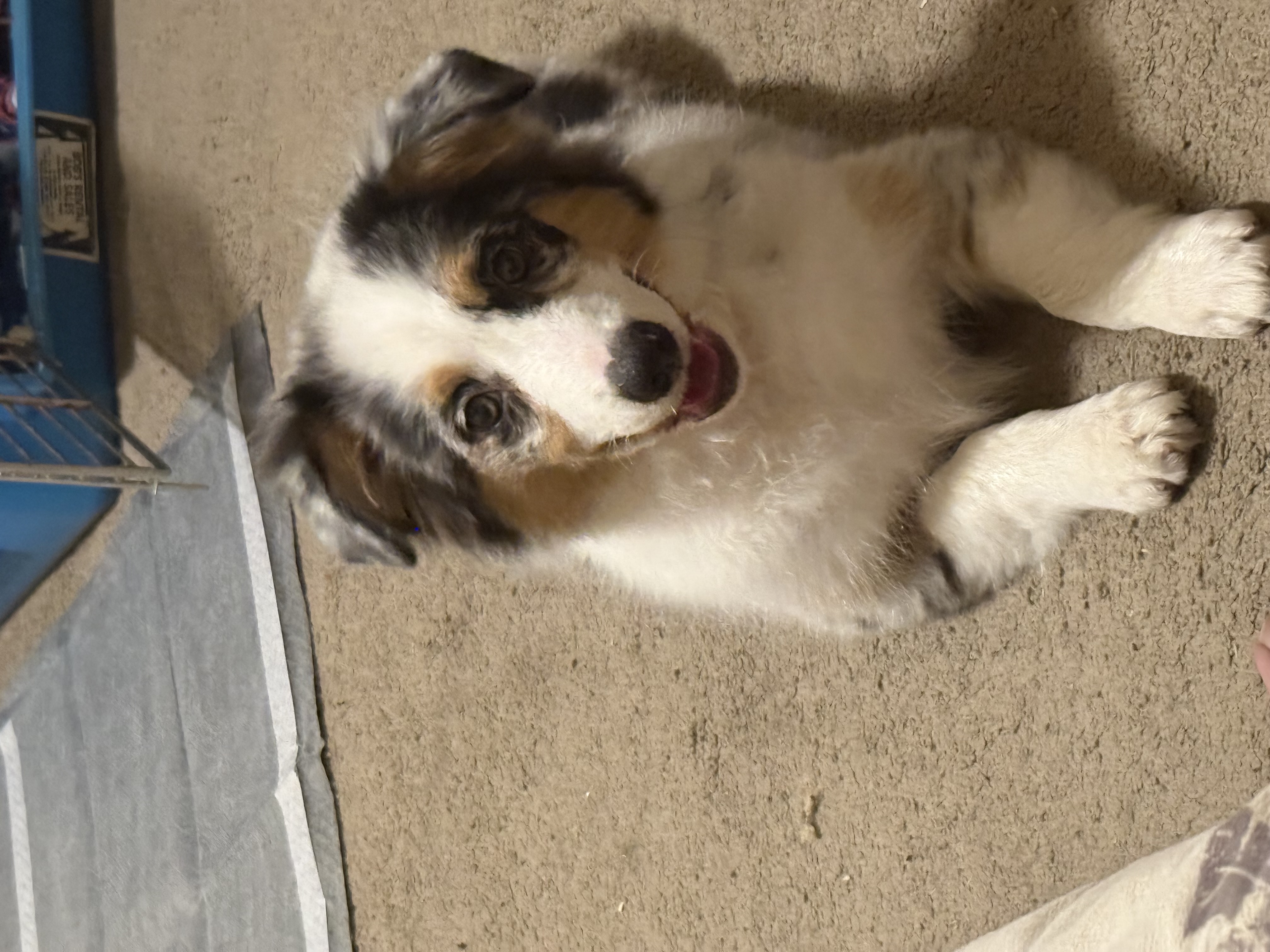 Photo Review Submission from Sean Rhoades