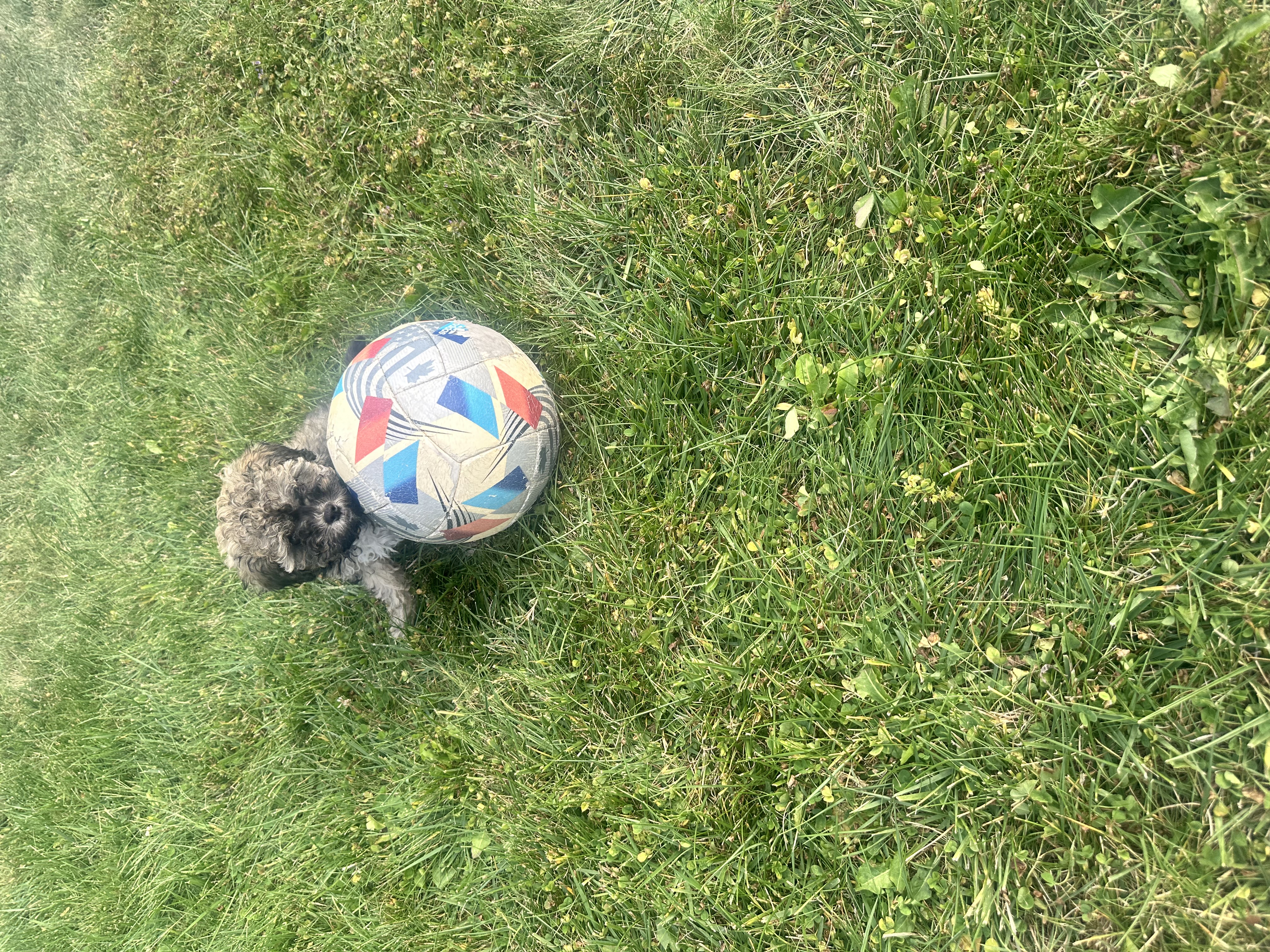 Photo Review Submission from Jill C