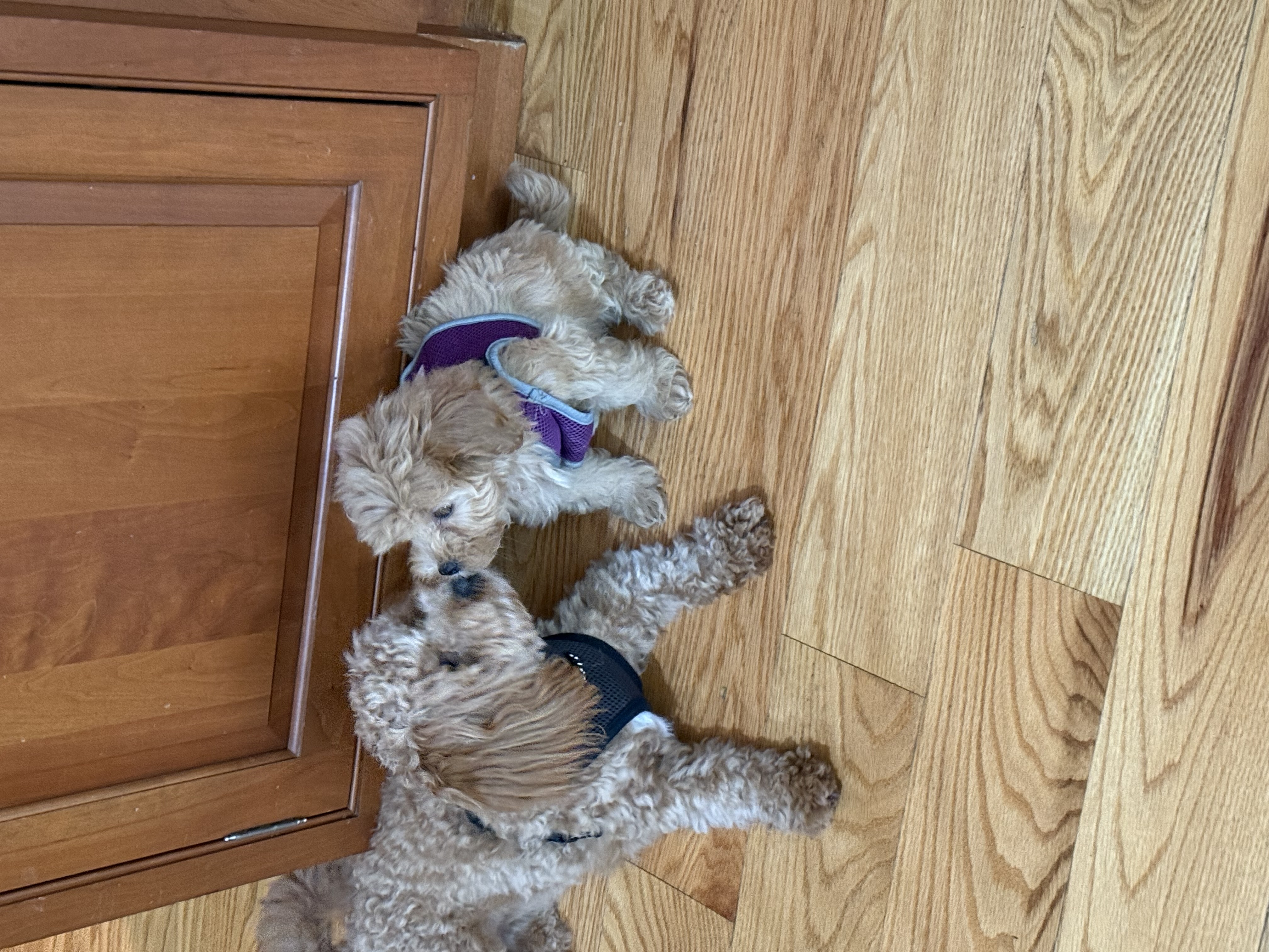 Photo Review Submission from Sharon Finance