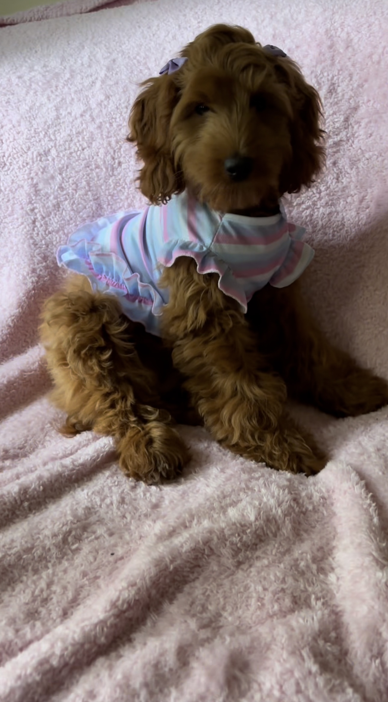 Photo Review Submission from Maya Johnson