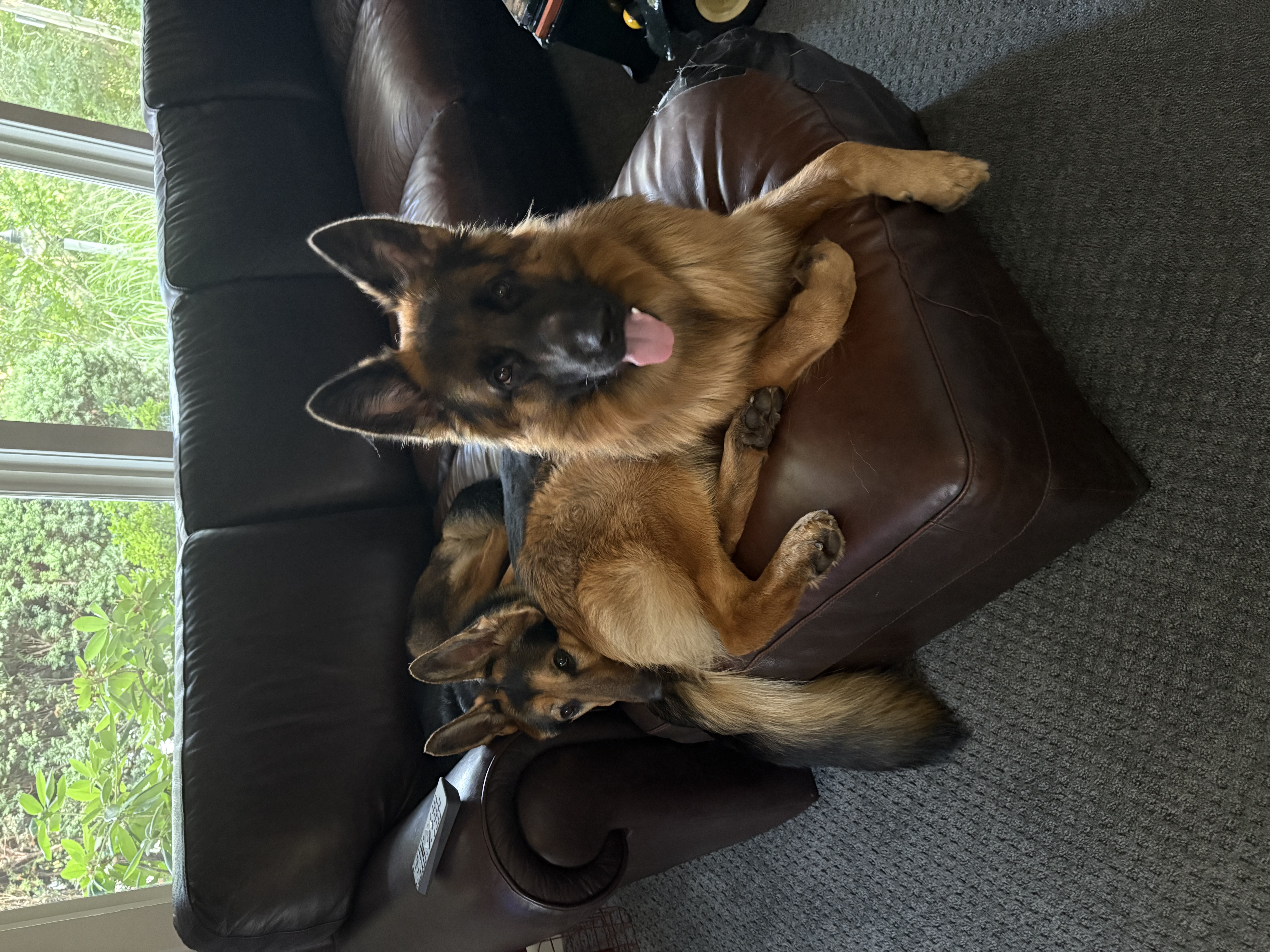 Photo Review Submission from Suzanne Bradley