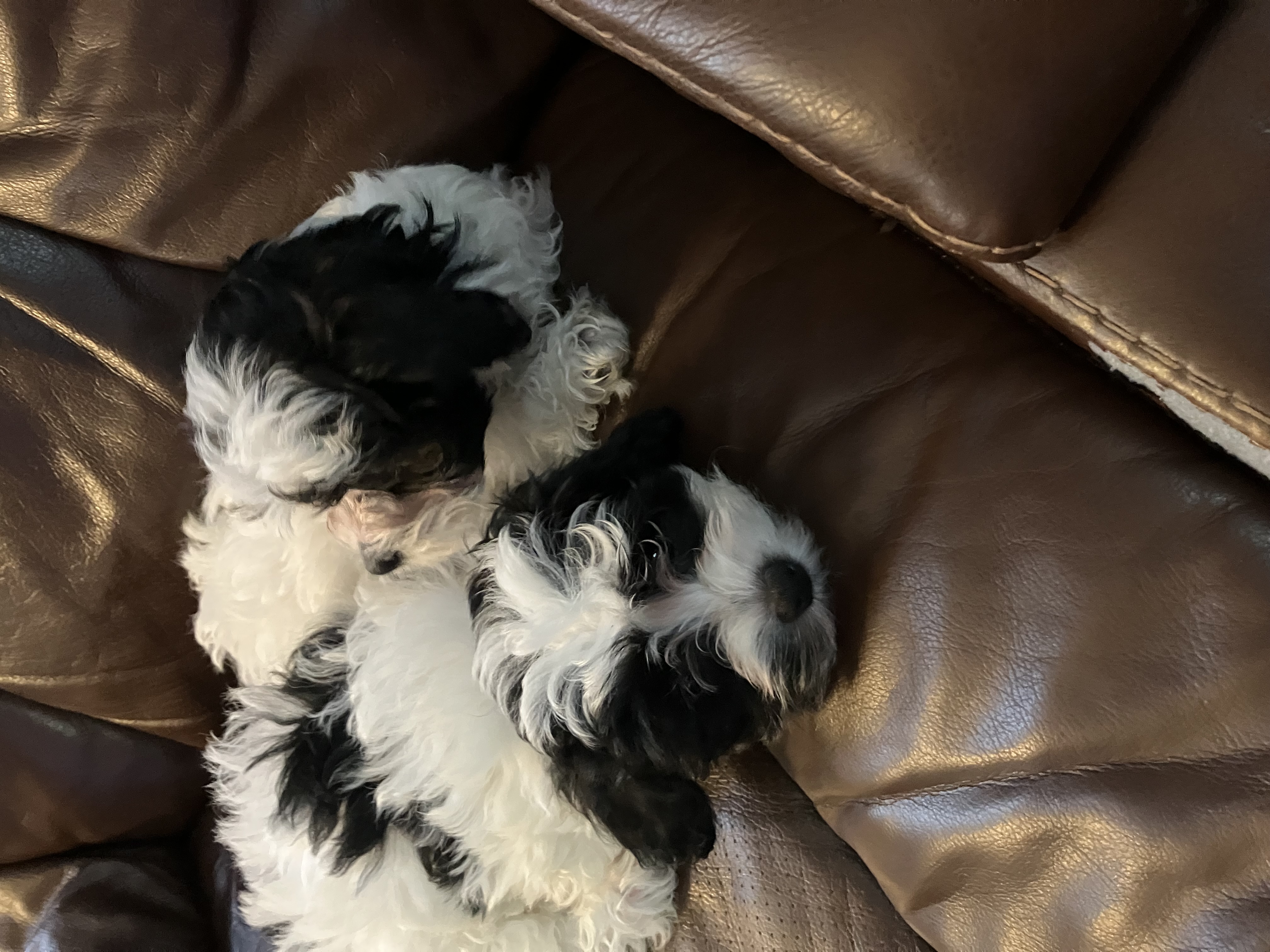 Photo Review Submission from Wanda Carey