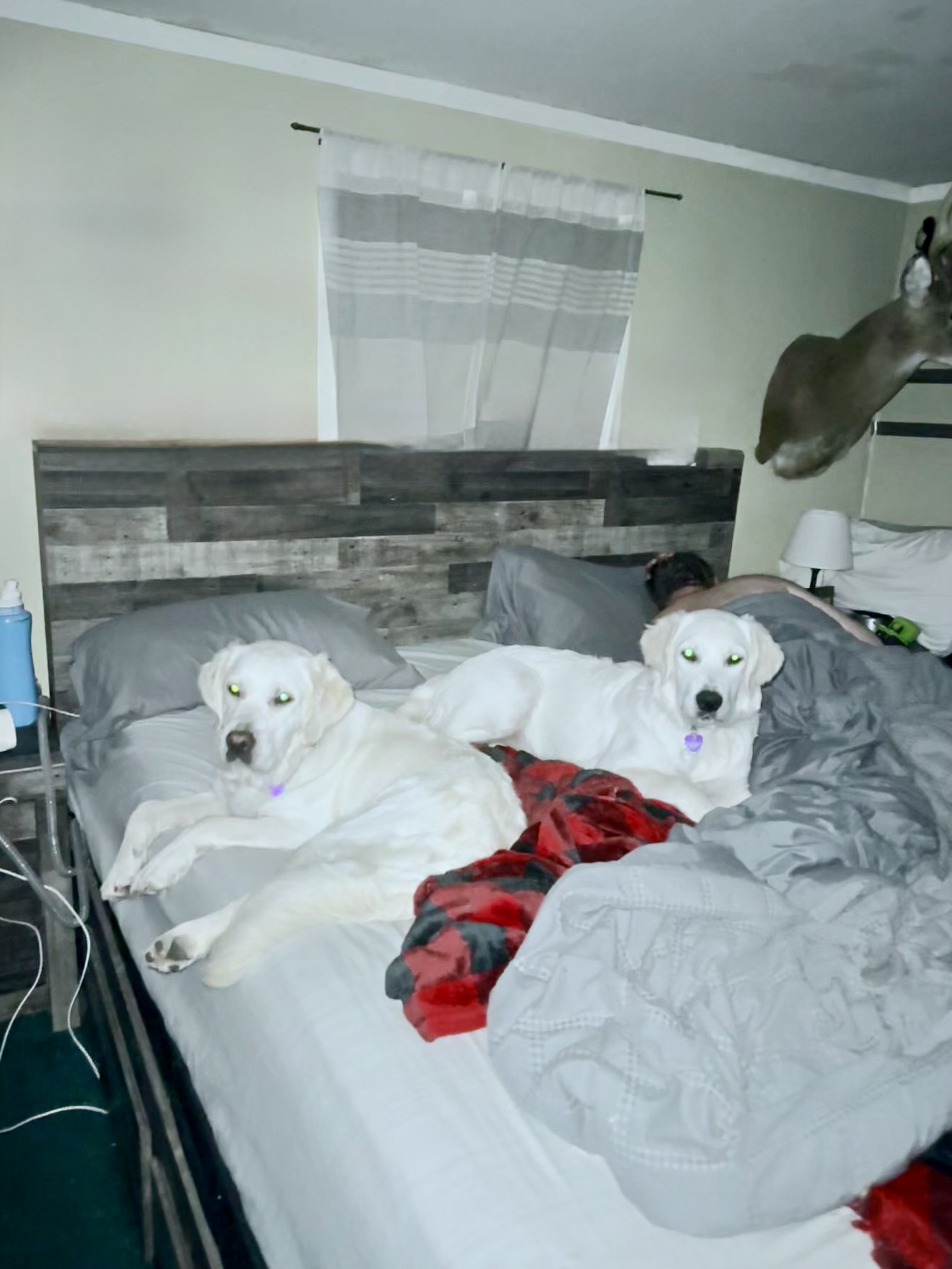 Photo Review Submission from Marni Cavagnaro