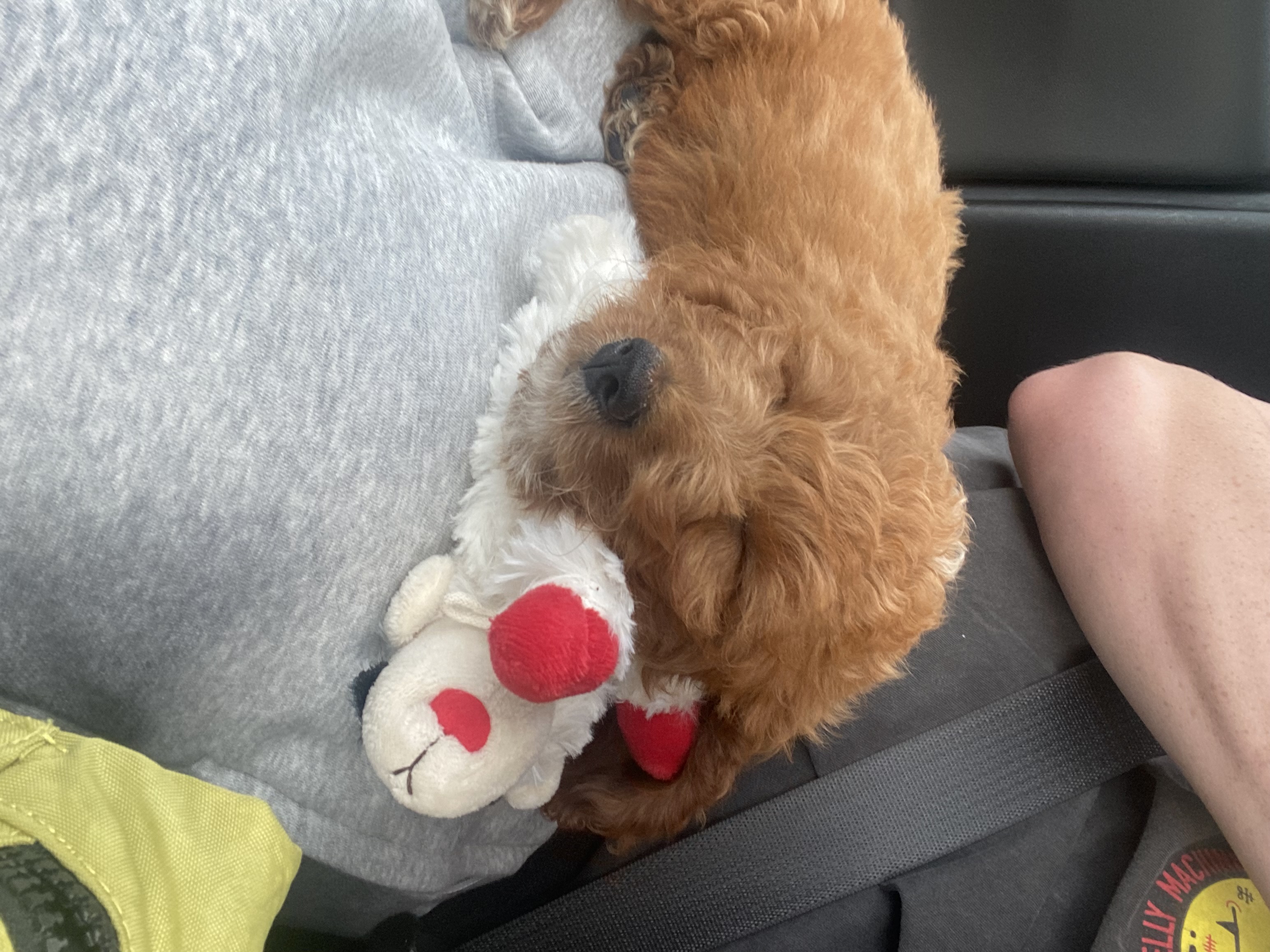 Photo Review Submission from Kim Walsh