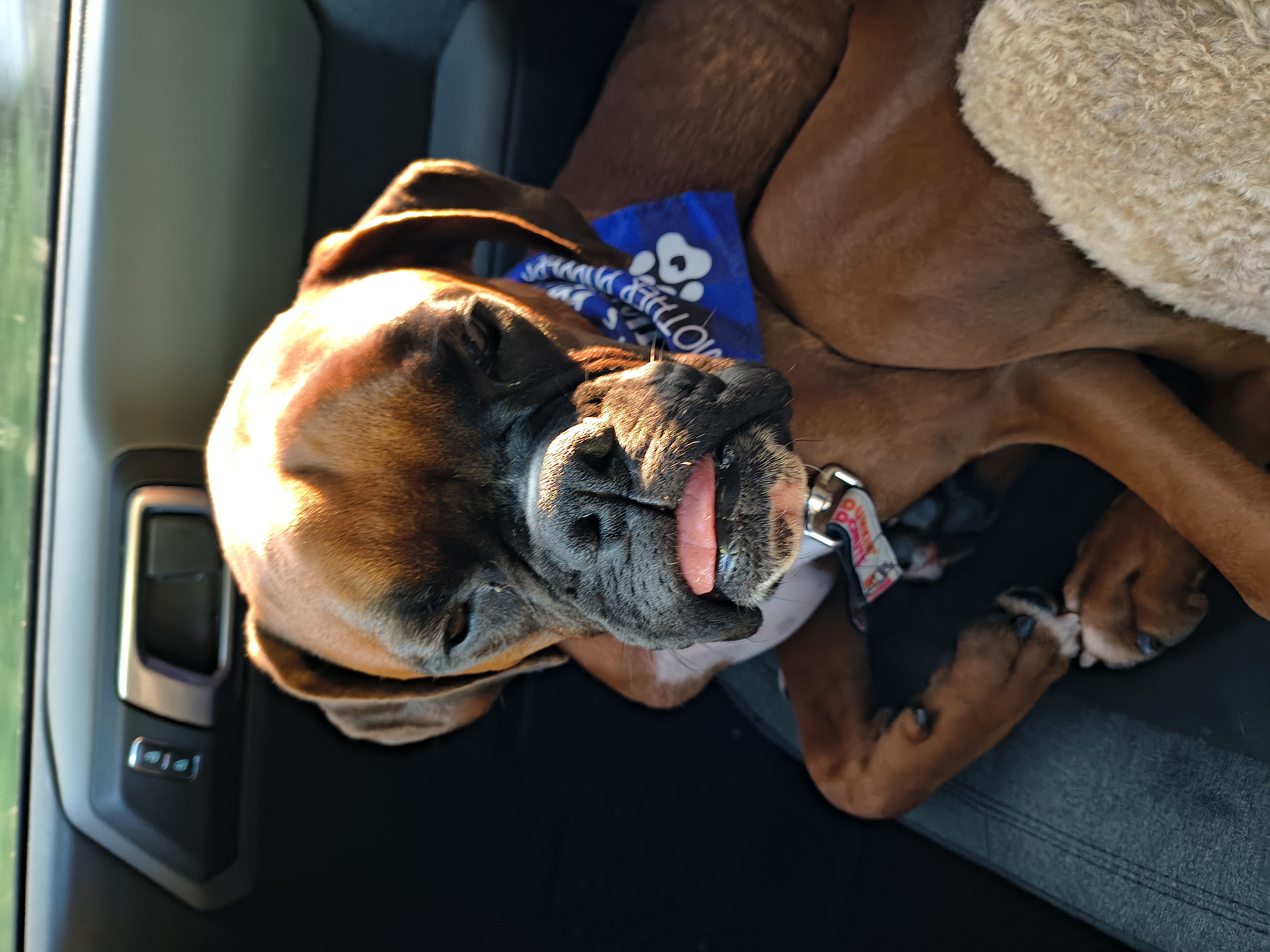 Photo Review Submission from Samantha Arbogast