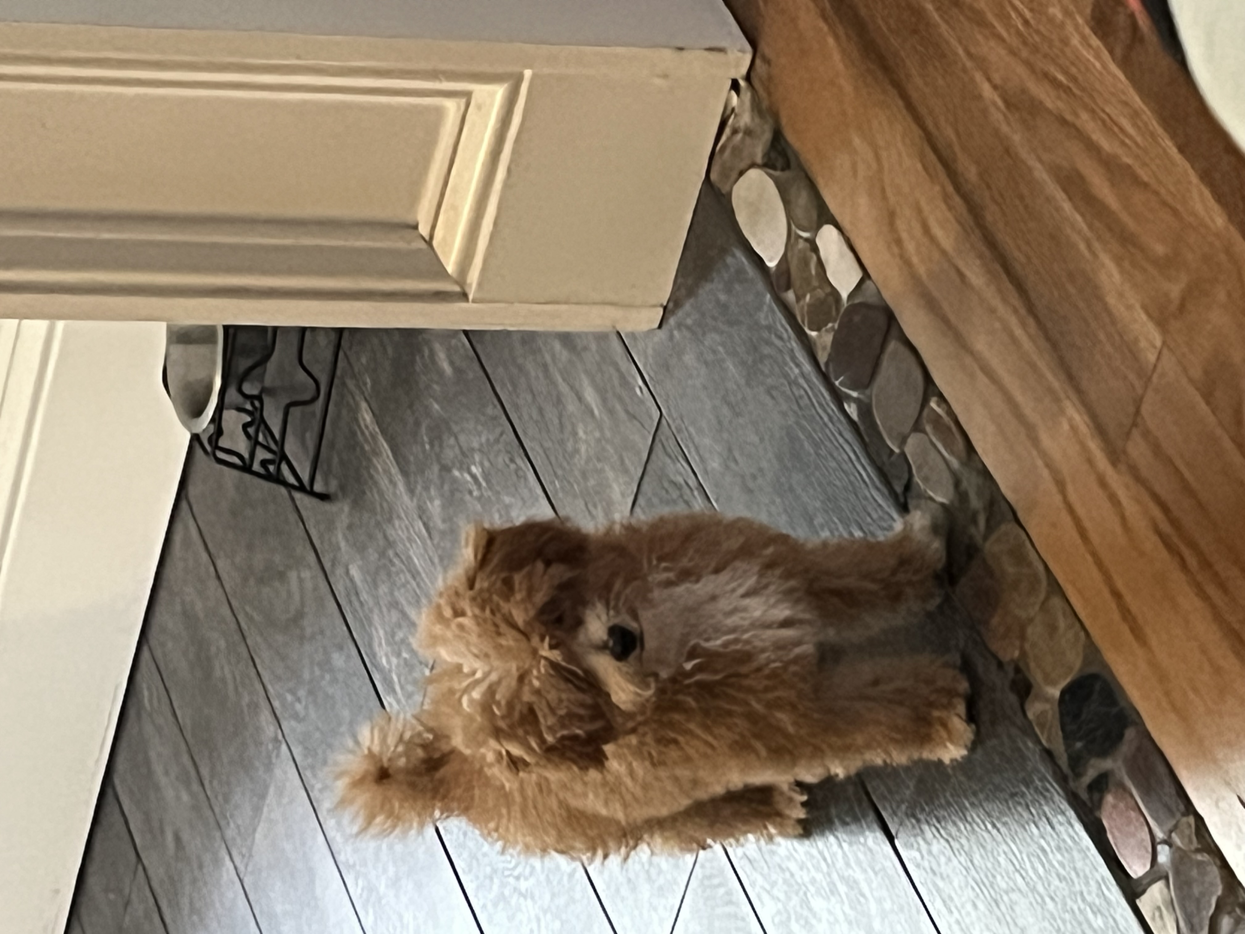Photo Review Submission from Shannon B