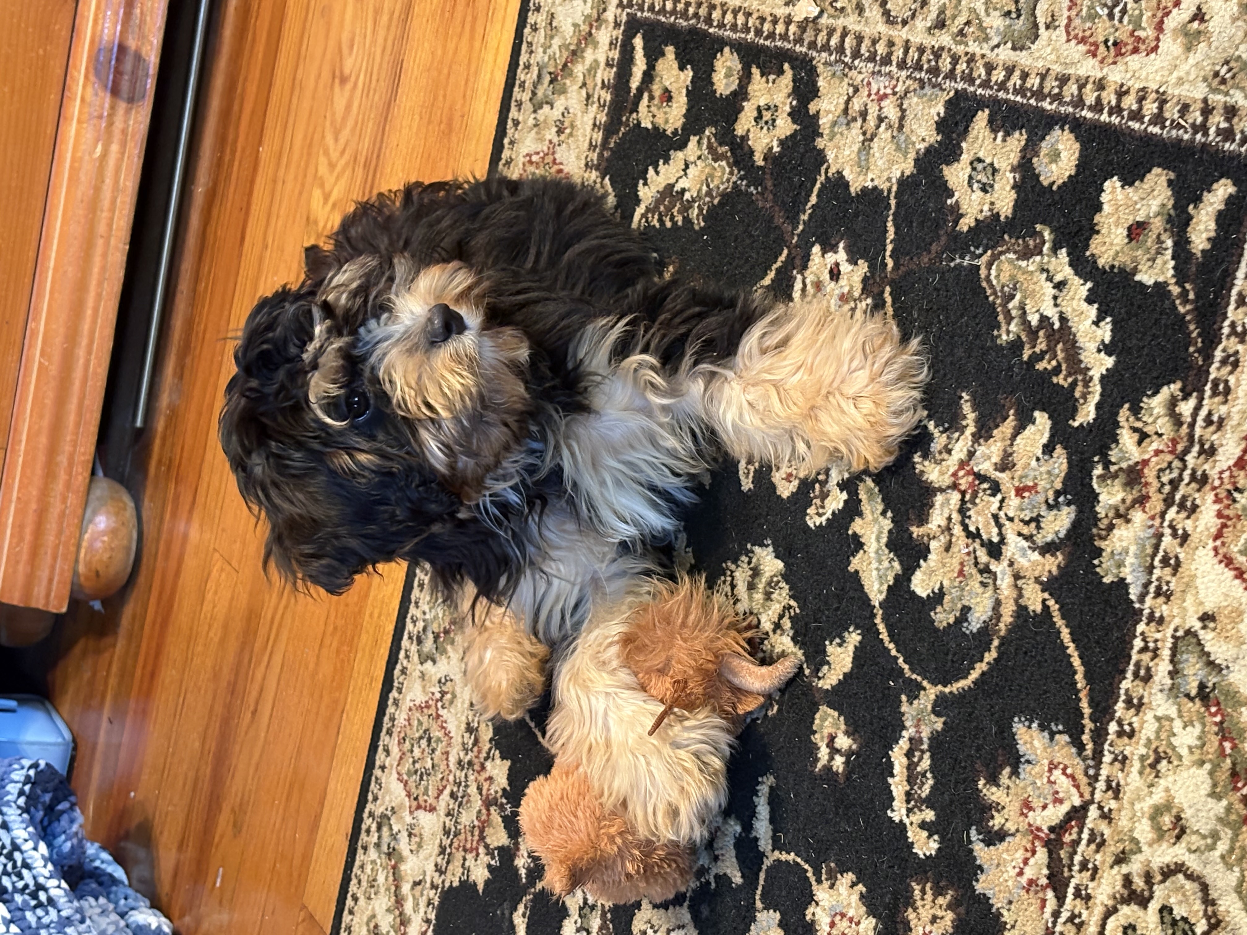 Photo Review Submission from Christine Krieger