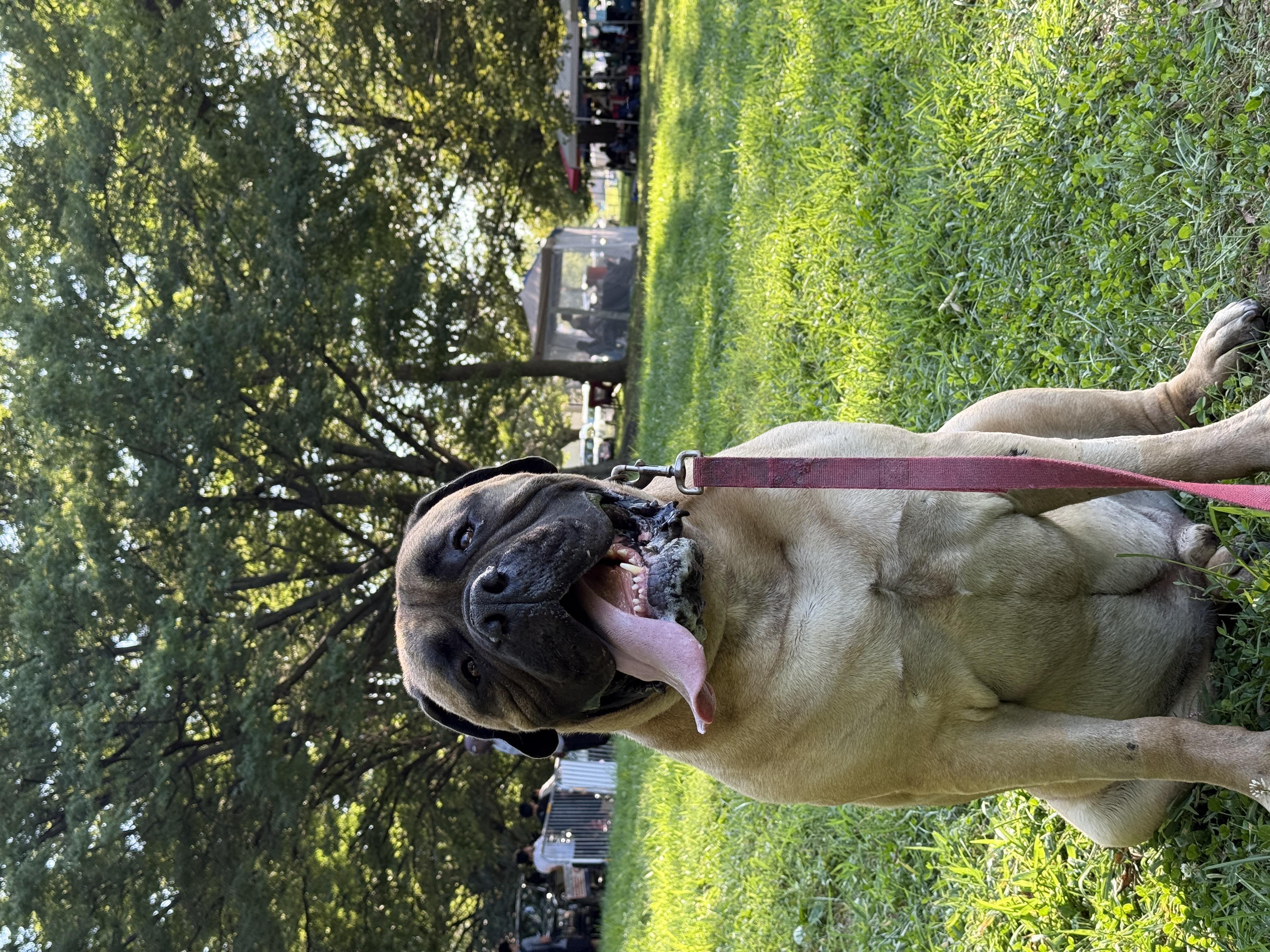 Photo Review Submission from Cassandra Laudon
