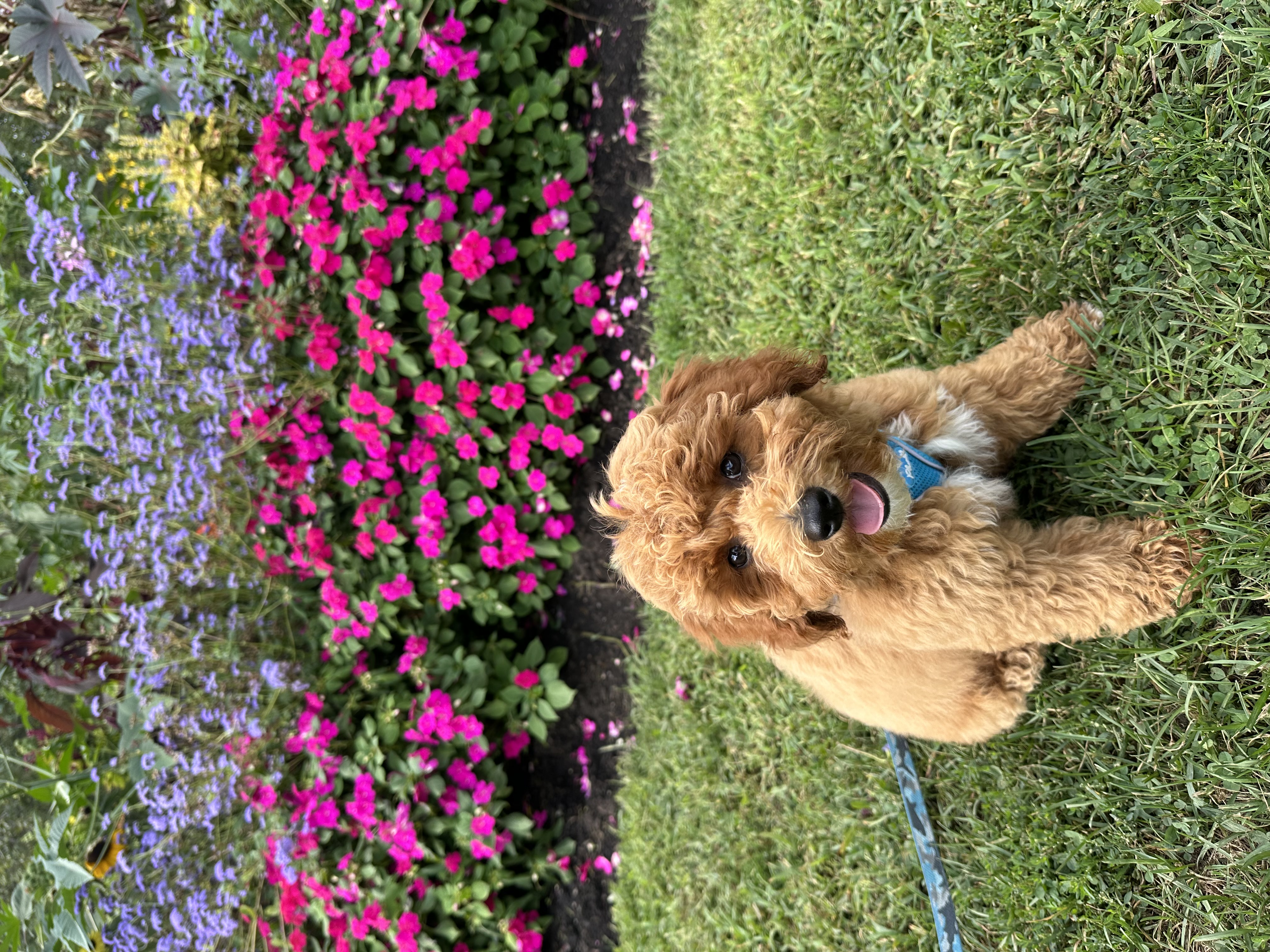 Photo Review Submission from Tristin Williams