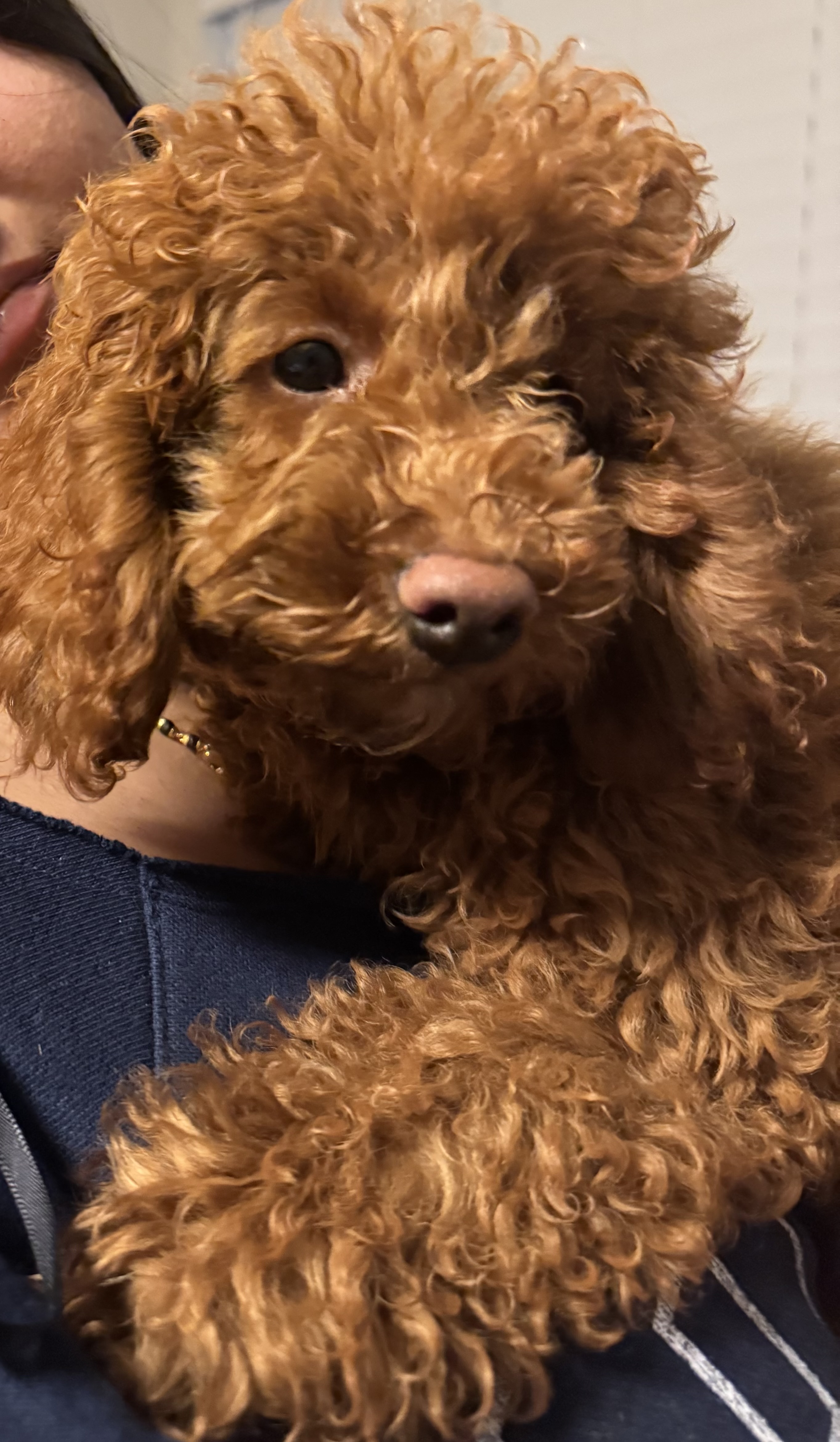 Photo Review Submission from Dhara Patel