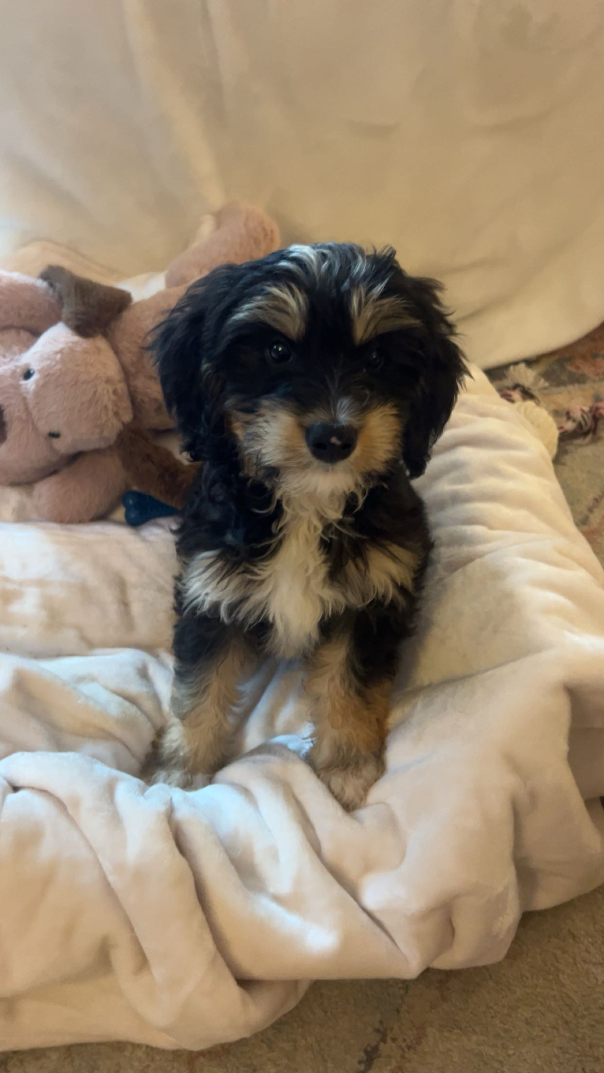 Photo Review Submission from Madilyn House