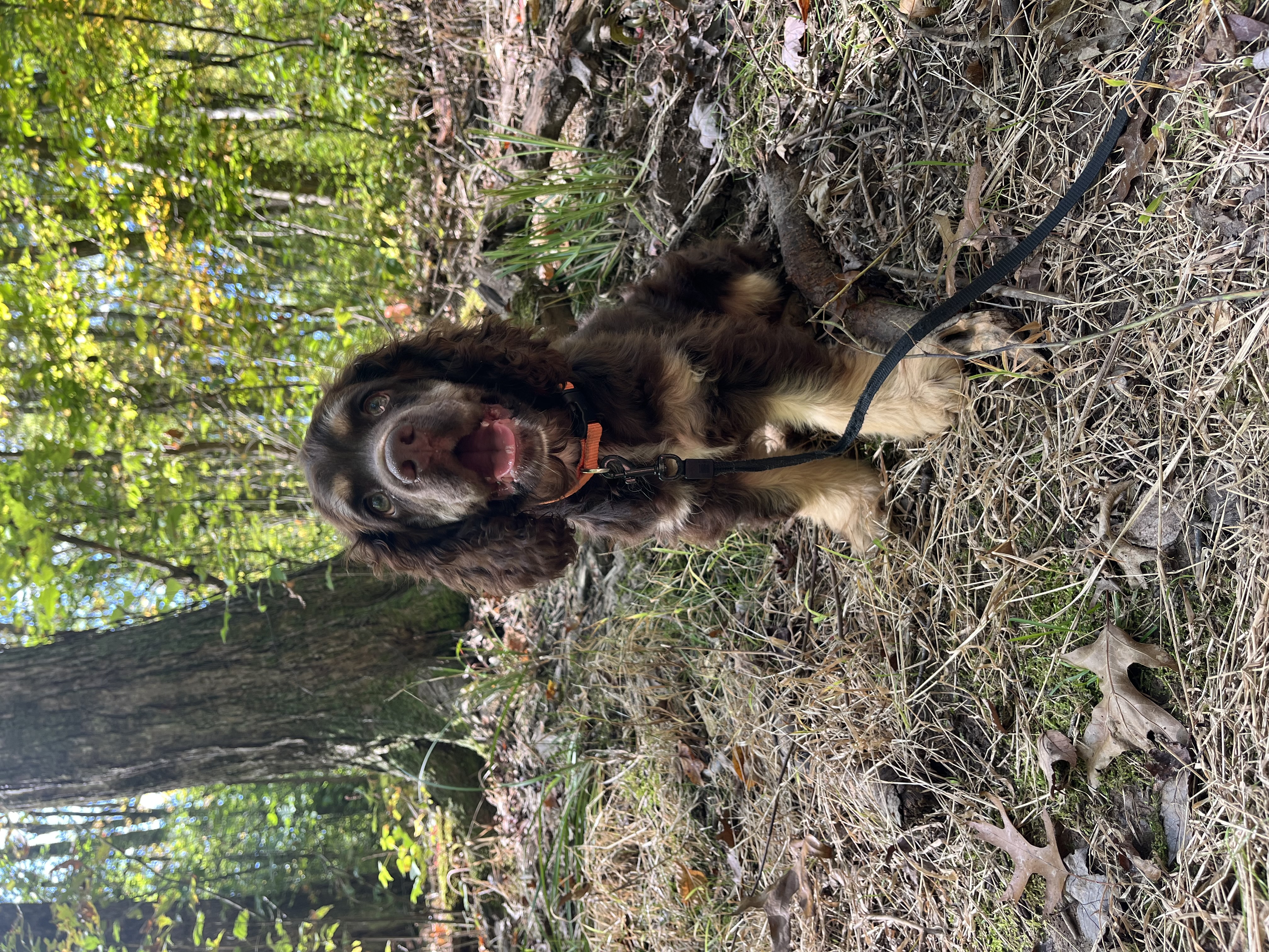Photo Review Submission from Heather Whittle