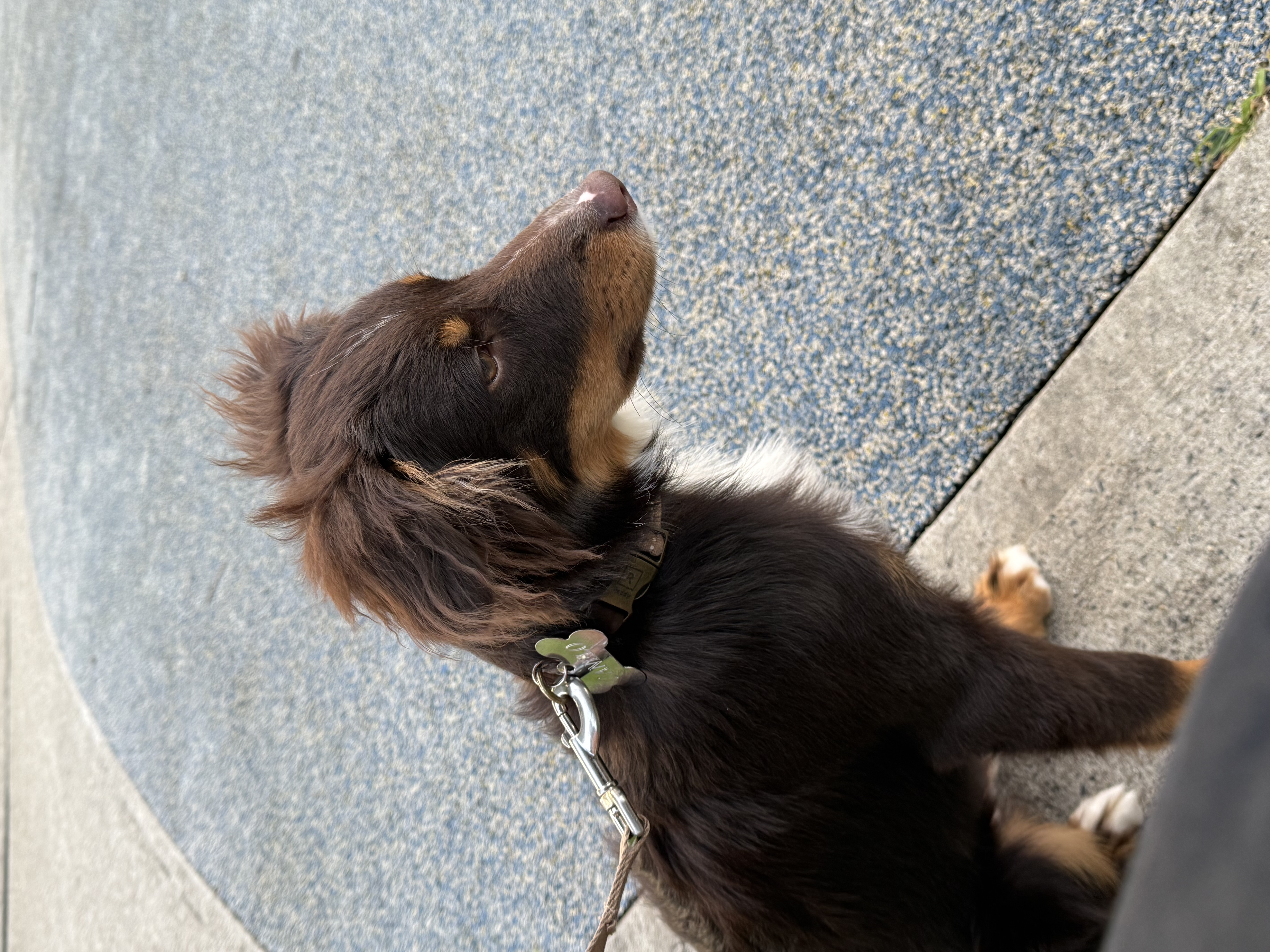 Photo Review Submission from Yuridia Lozano