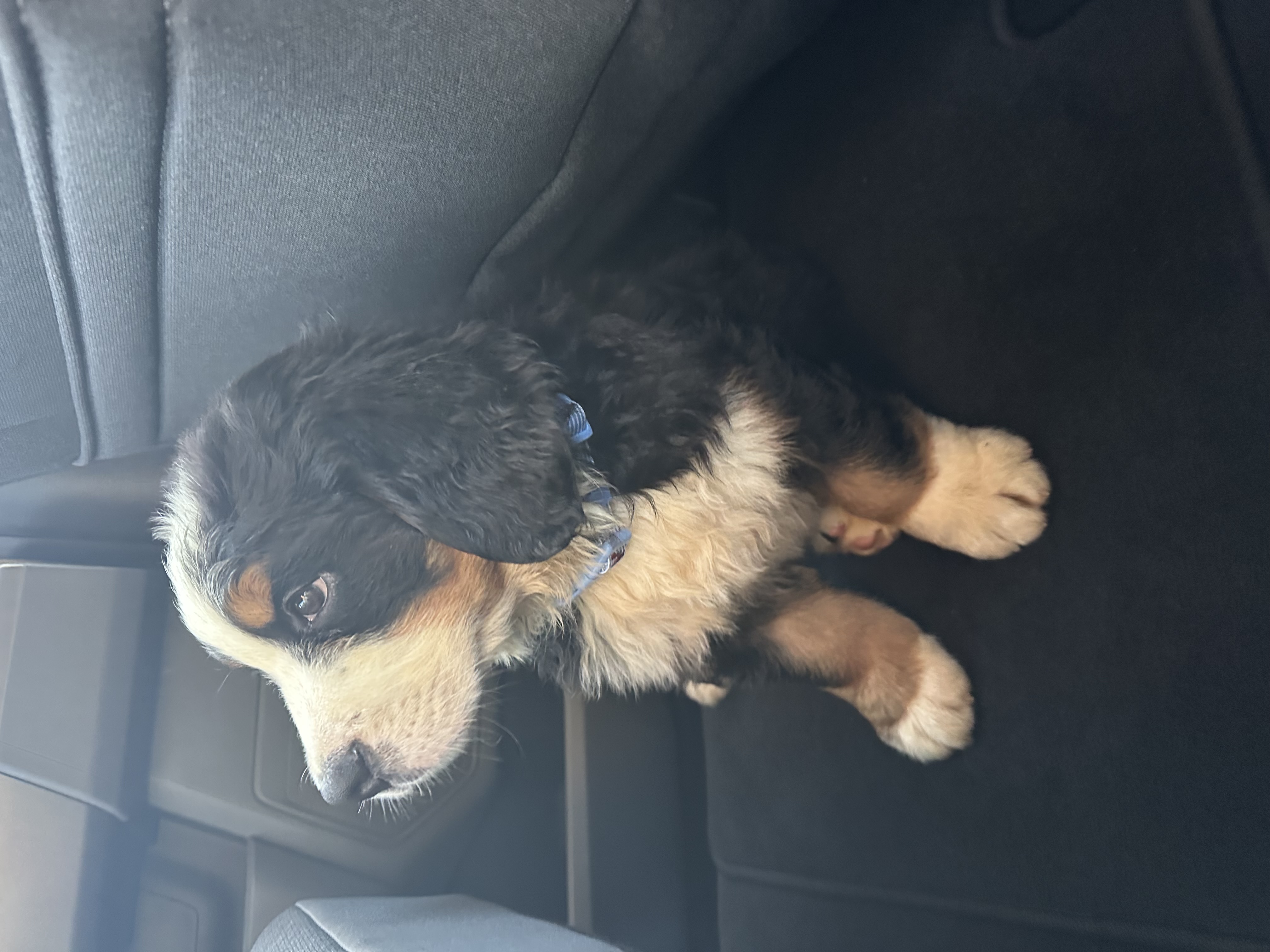 Photo Review Submission from Riley Paul