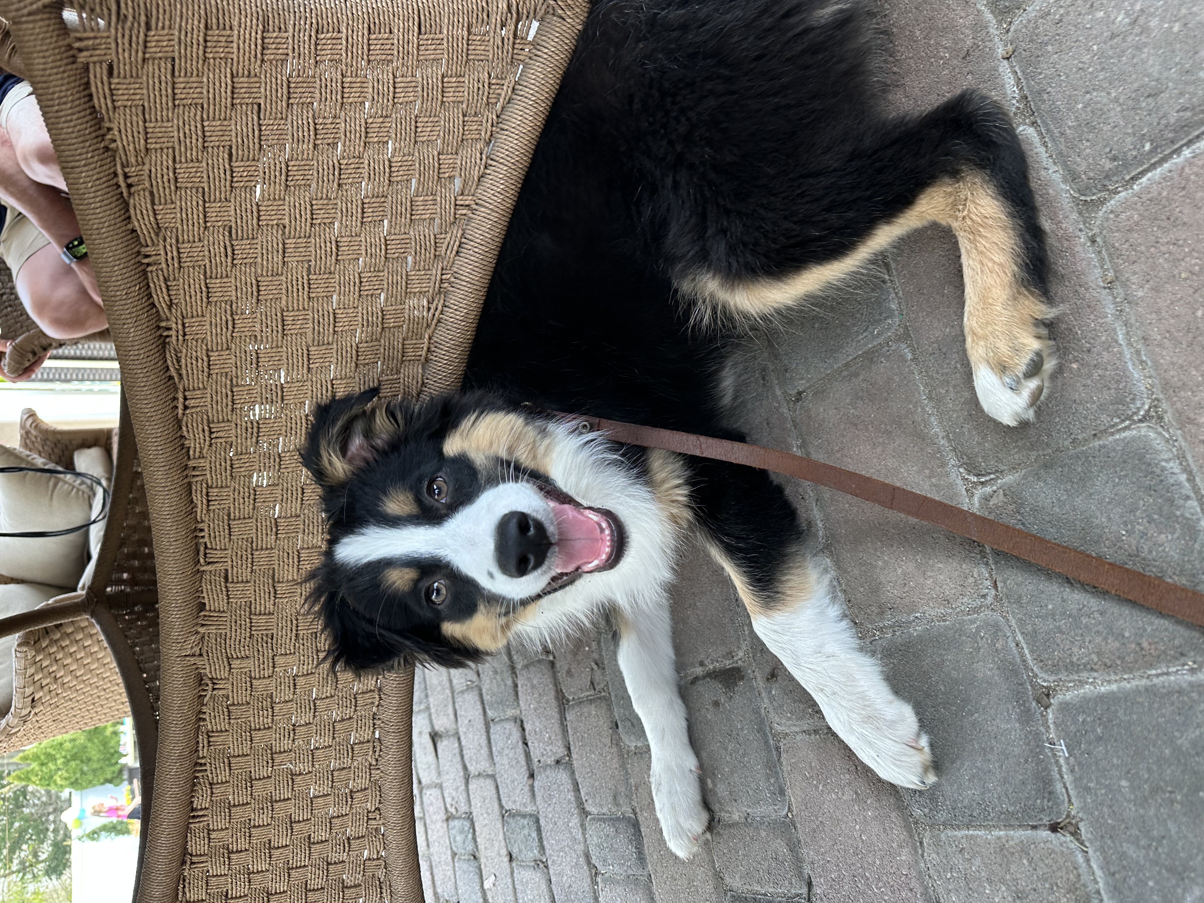 Photo Review Submission from Amanda S