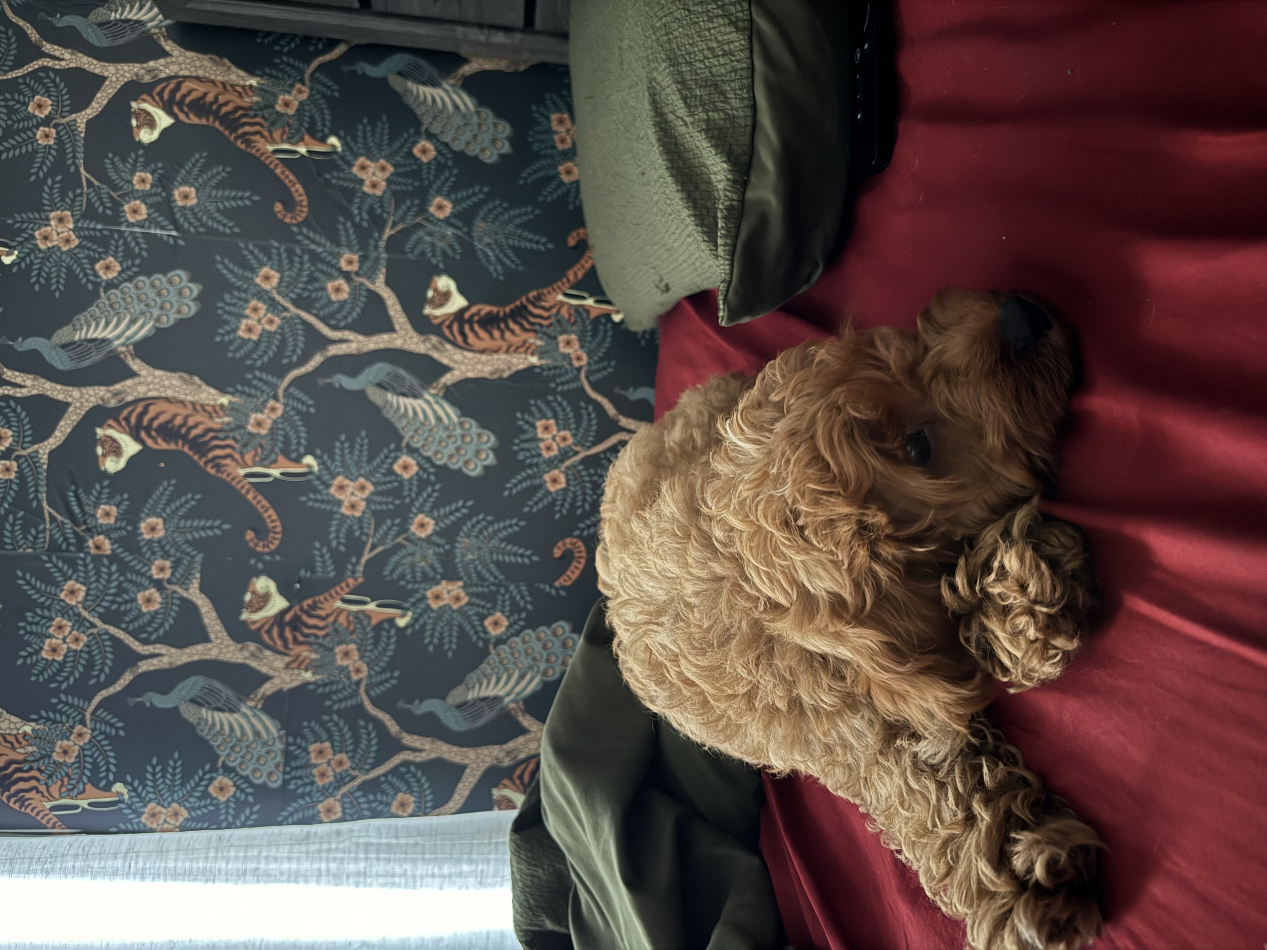 Photo Review Submission from linnette acosta