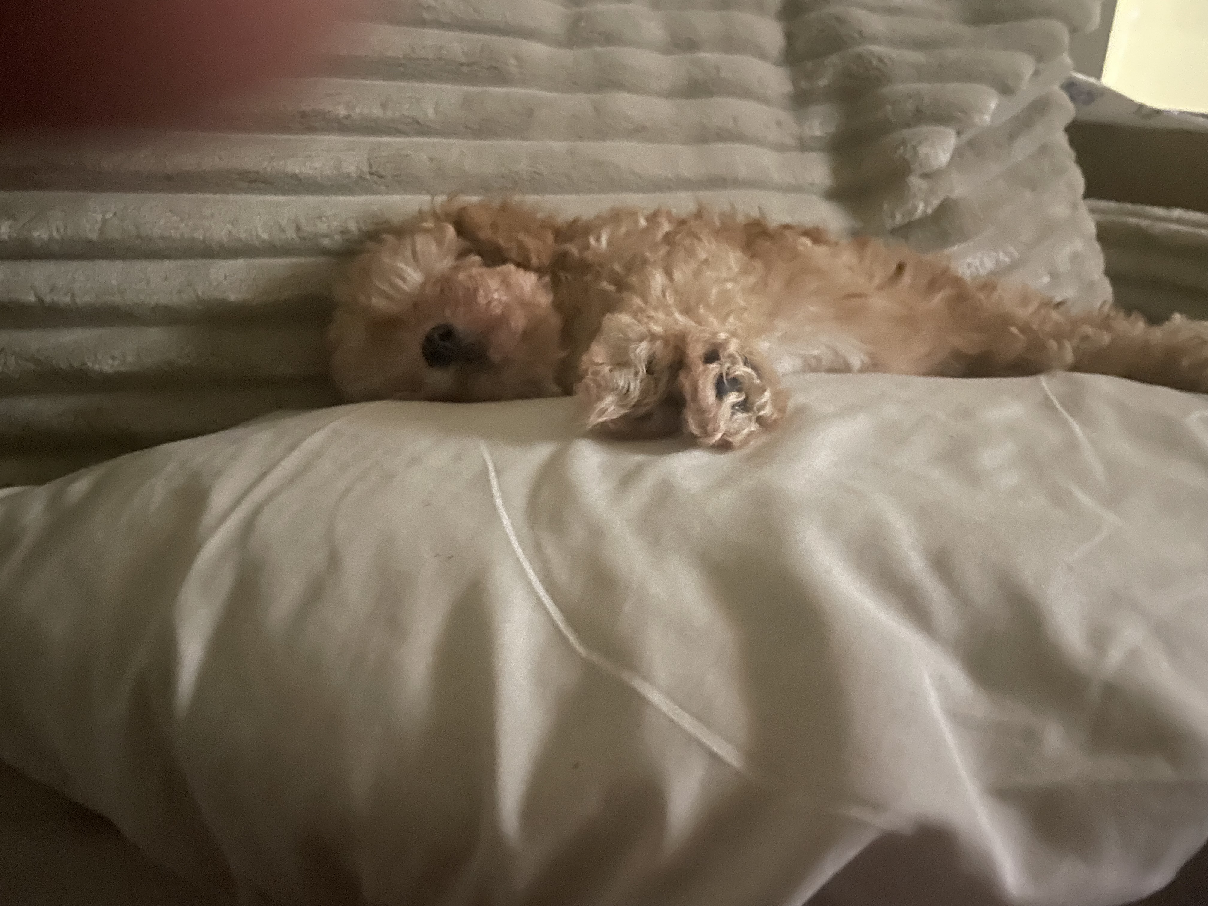 Photo Review Submission from Moshonda Blount