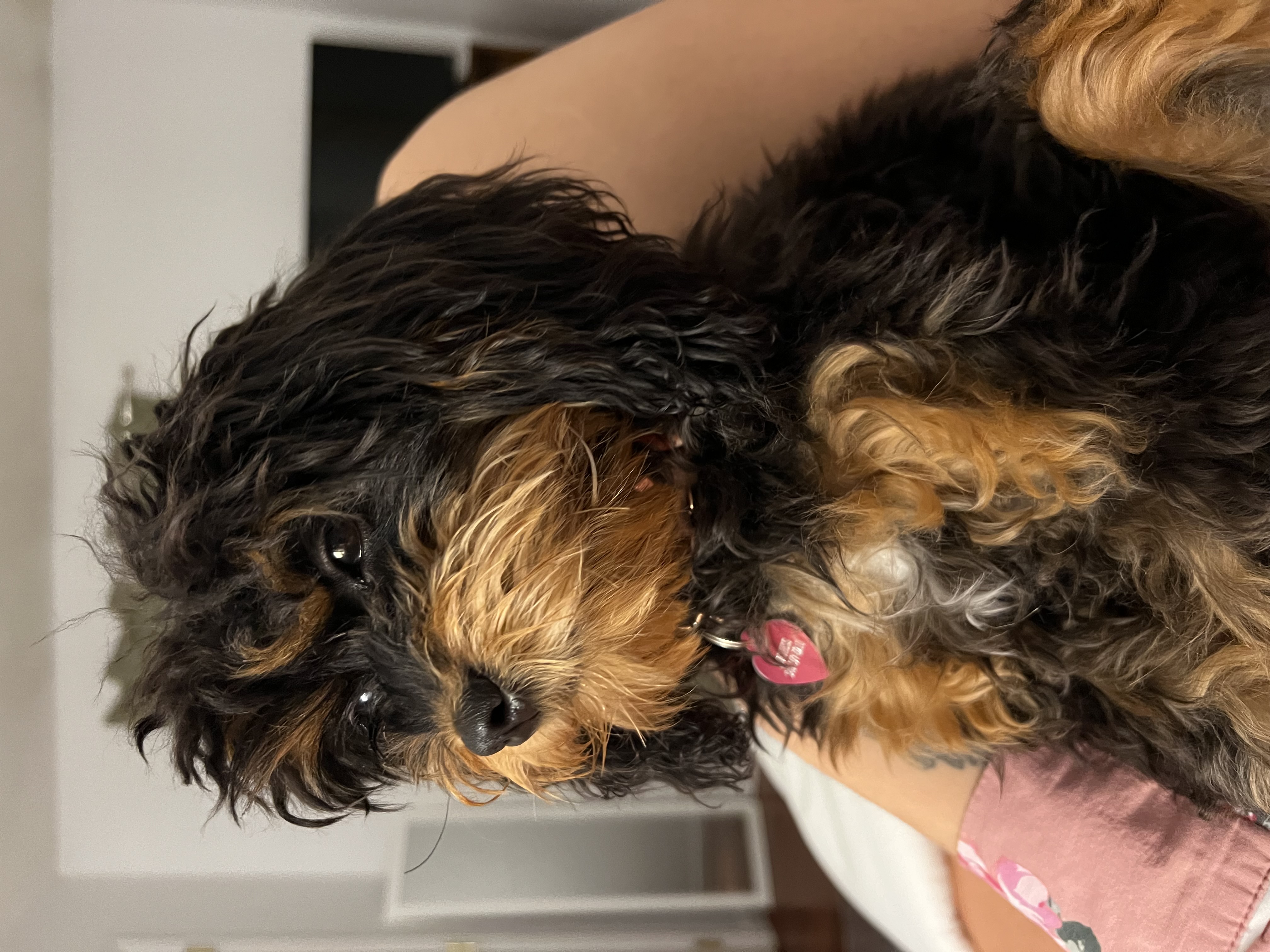 Photo Review Submission from Madison Wallace