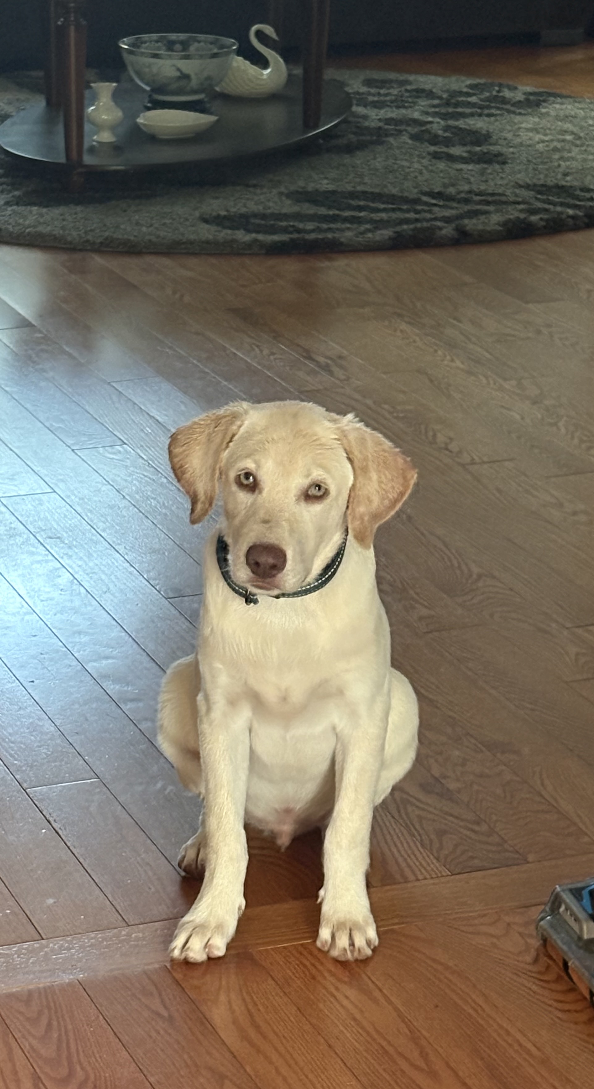 Photo Review Submission from Dawn R