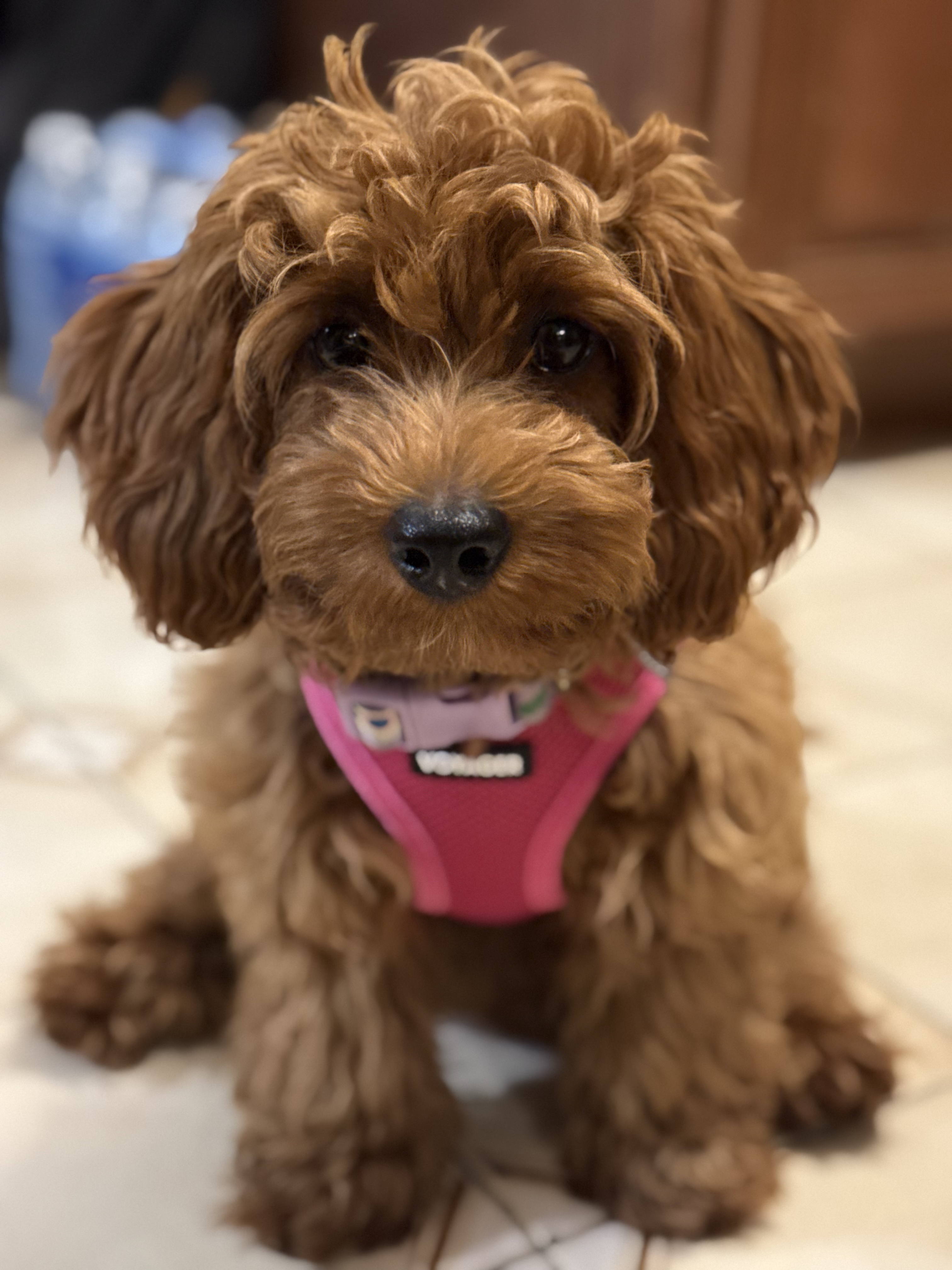 Photo Review Submission from Rose Ann De Guia