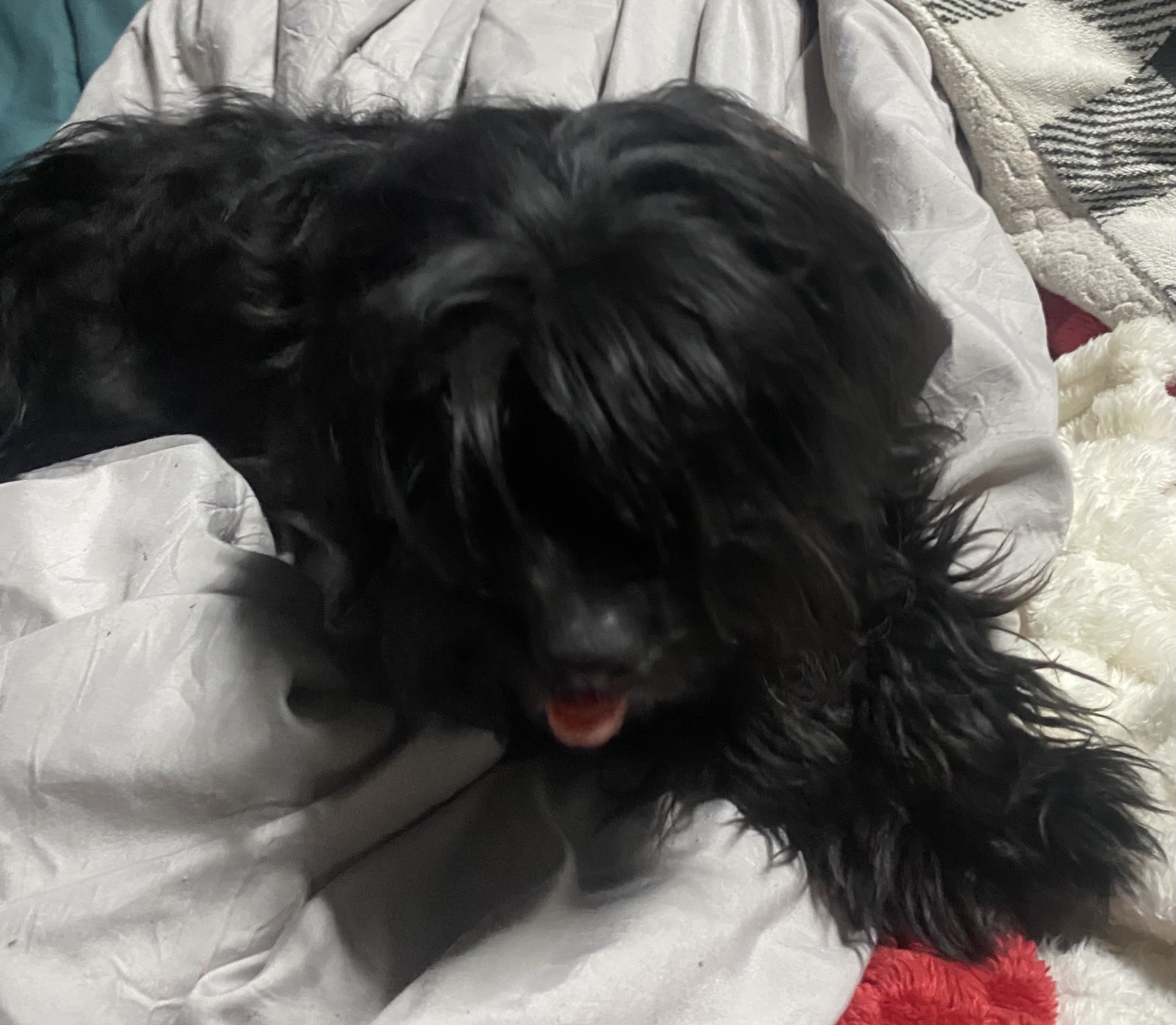 Photo Review Submission from Bonnie Walker