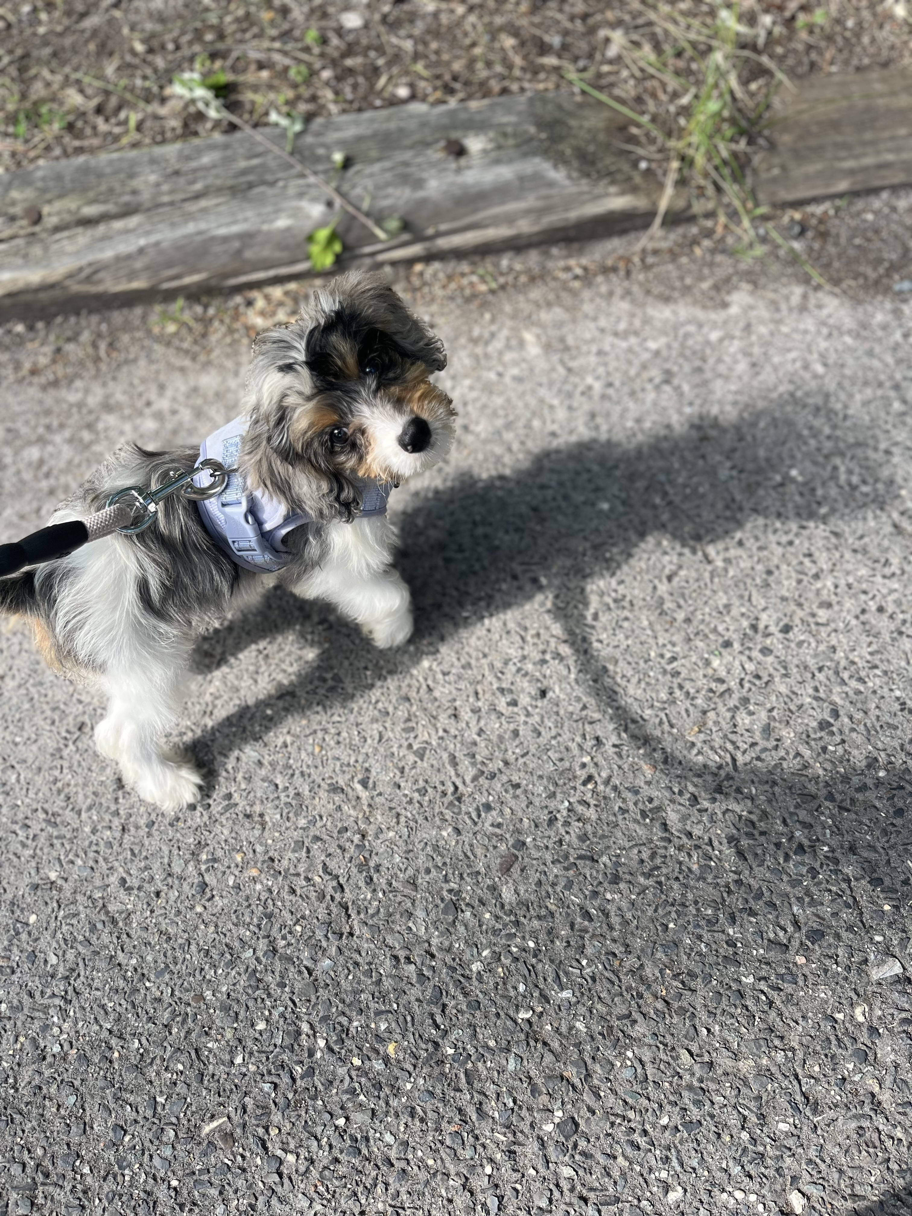 Photo Review Submission from Gigi Dessicino