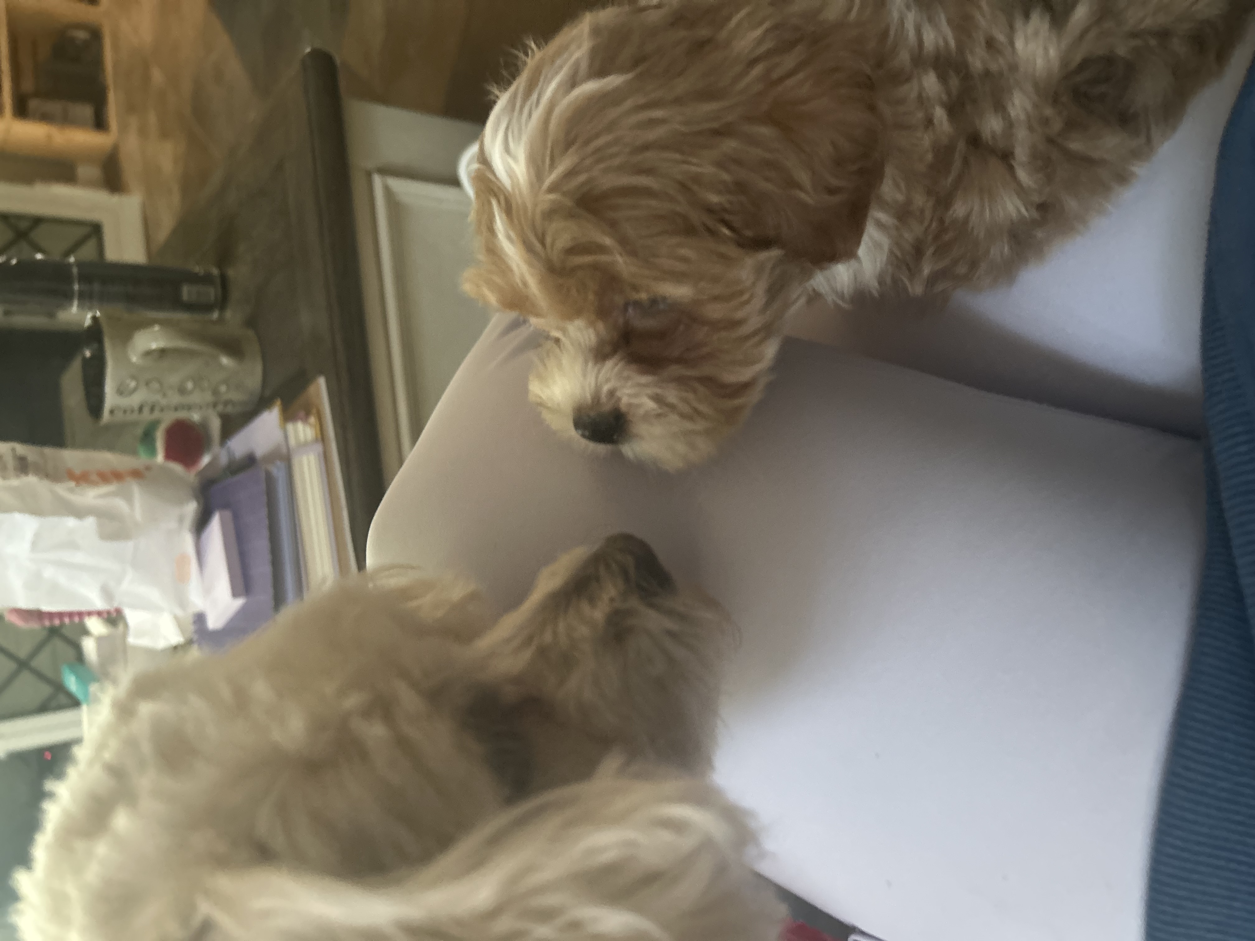 Photo Review Submission from Kim Hoehing