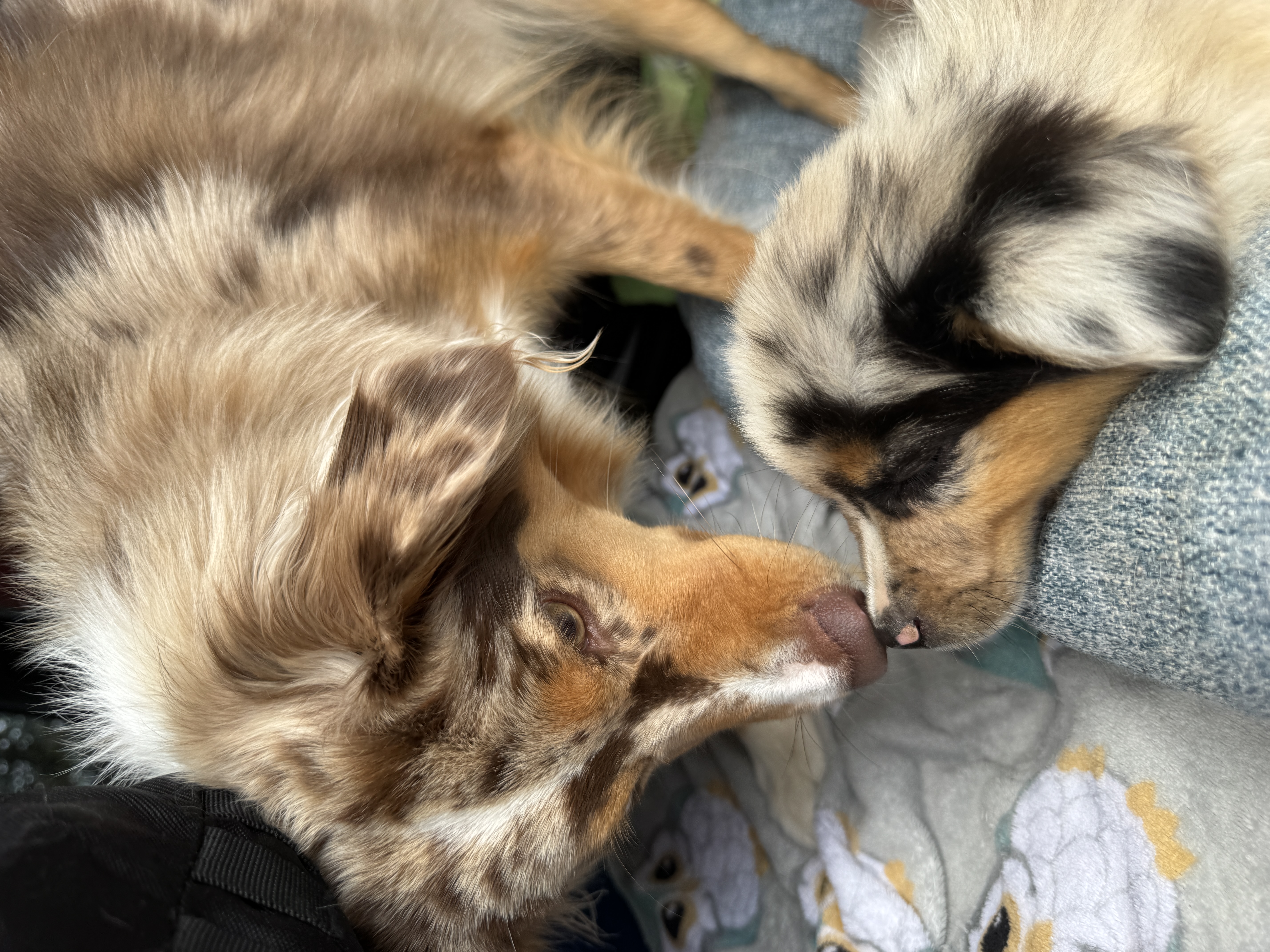 Photo Review Submission from Laura Jane Olson
