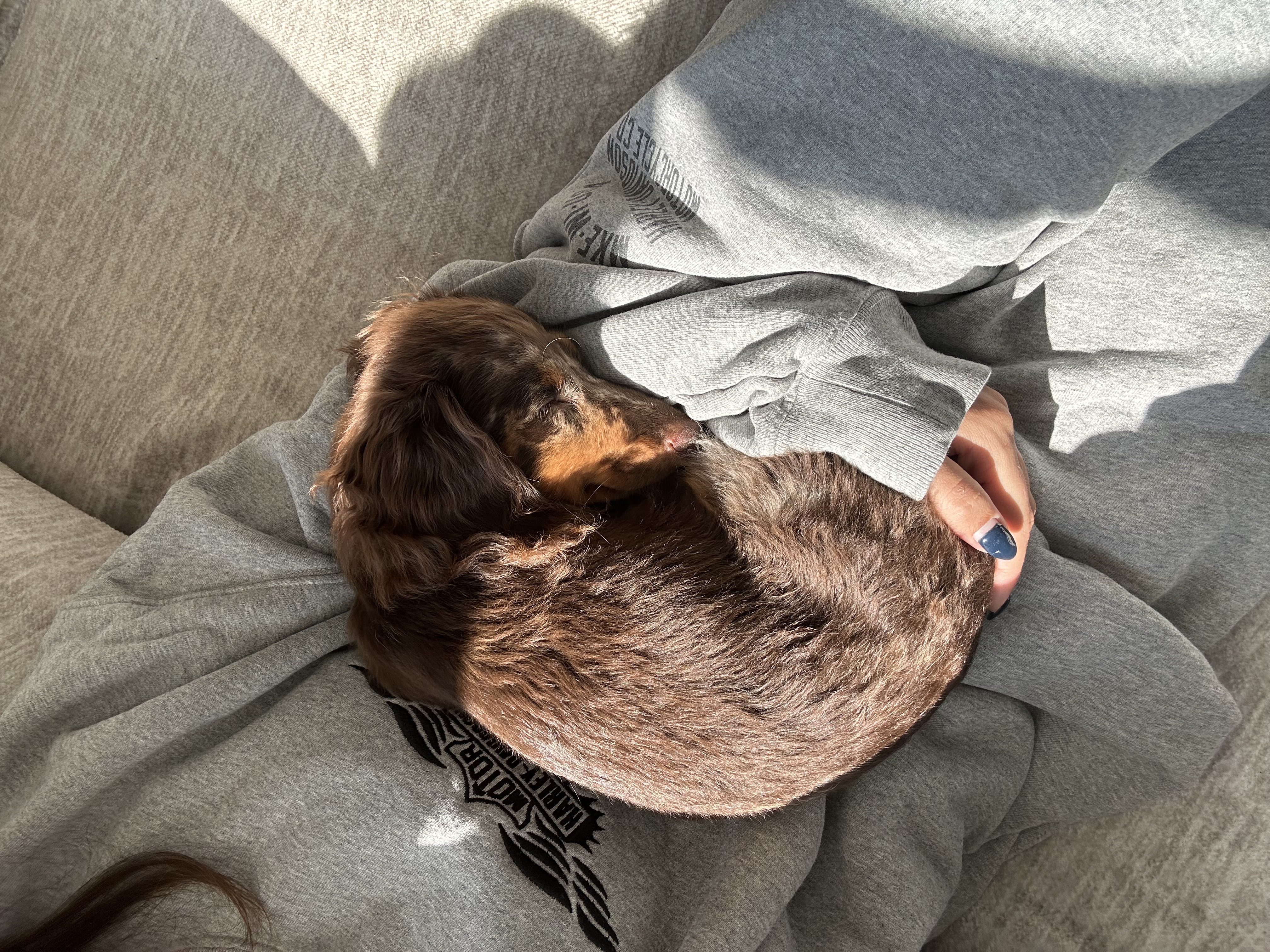 Photo Review Submission from Callie Marley