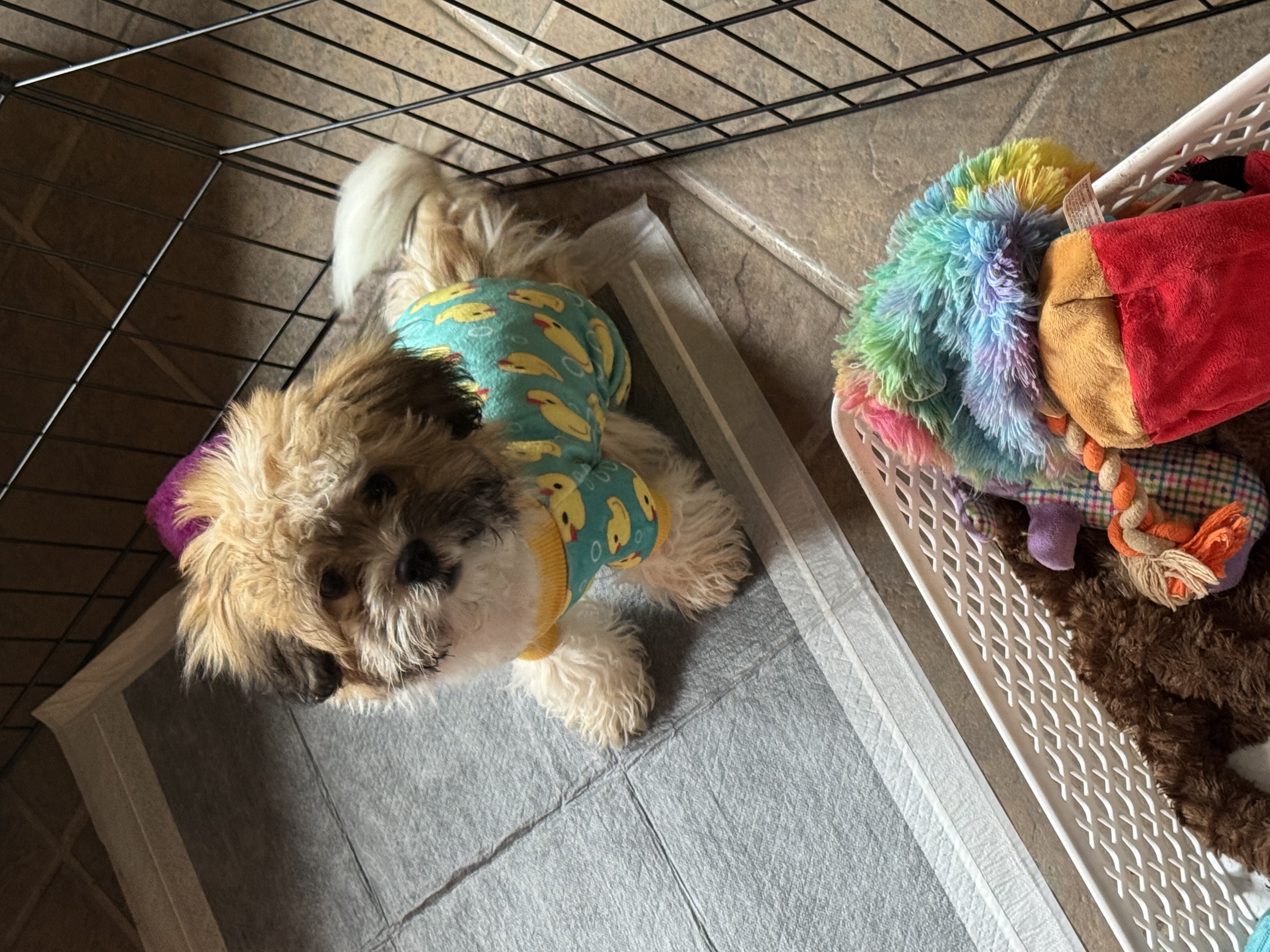 Photo Review Submission from Shannon McGuire-Rost